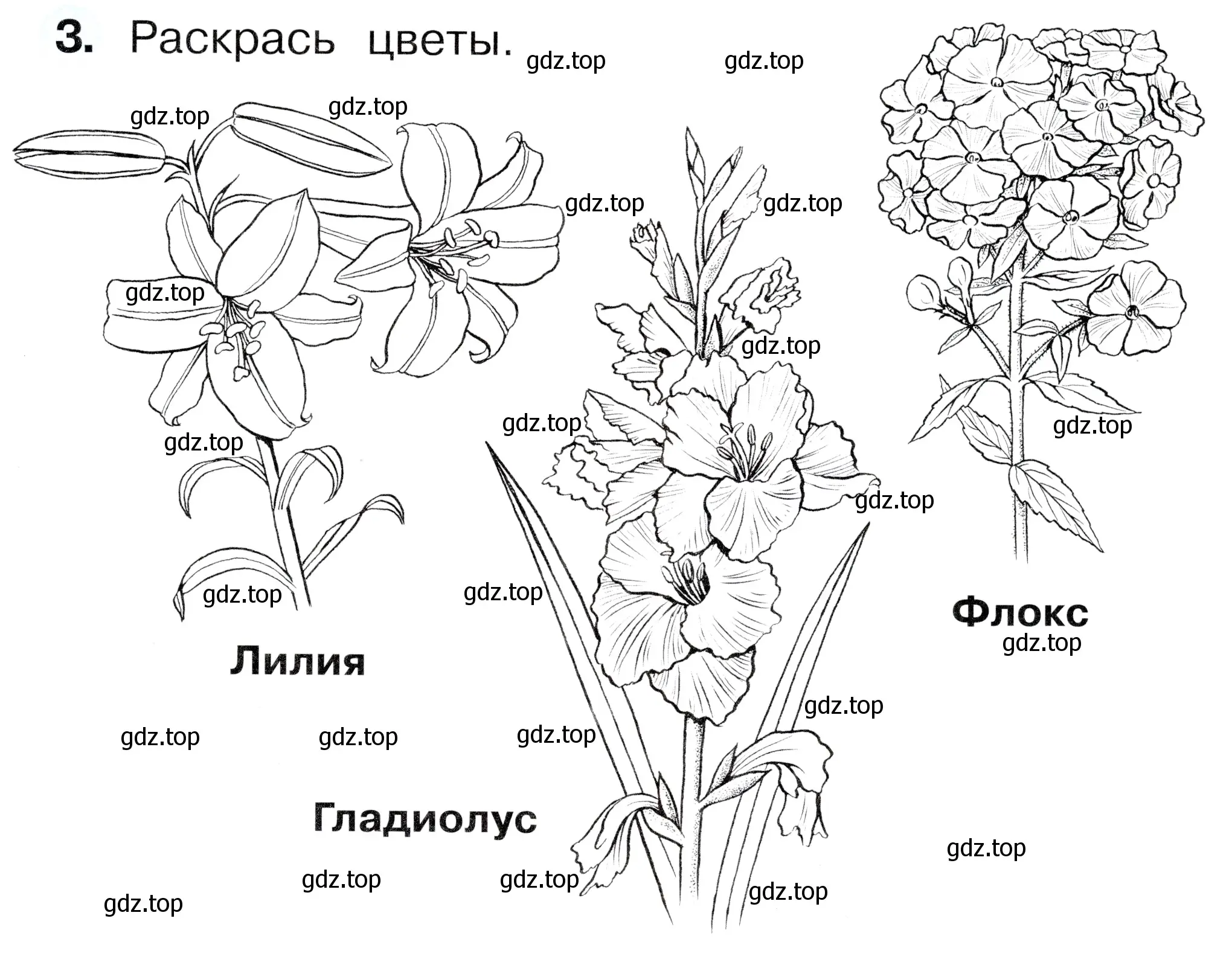 Условие номер 3 (страница 15) гдз по окружающему миру 1 класс Плешаков, Новицкая, рабочая тетрадь 2 часть