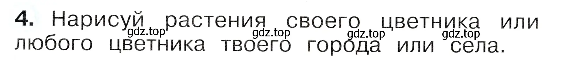 Условие номер 4 (страница 15) гдз по окружающему миру 1 класс Плешаков, Новицкая, рабочая тетрадь 2 часть