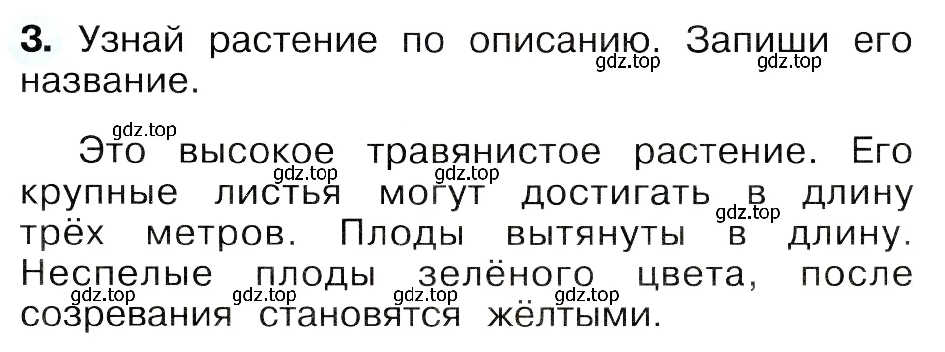 Условие номер 3 (страница 17) гдз по окружающему миру 1 класс Плешаков, Новицкая, рабочая тетрадь 2 часть