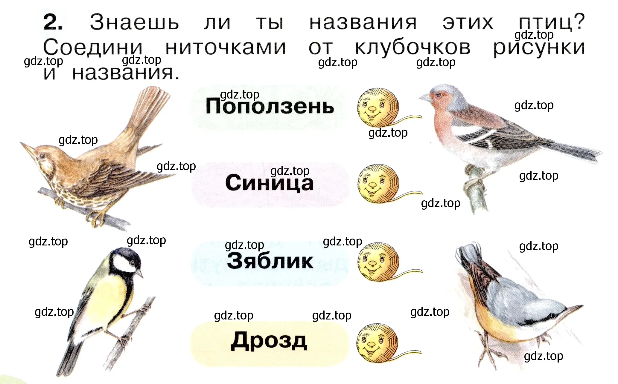 Условие номер 2 (страница 18) гдз по окружающему миру 1 класс Плешаков, Новицкая, рабочая тетрадь 2 часть