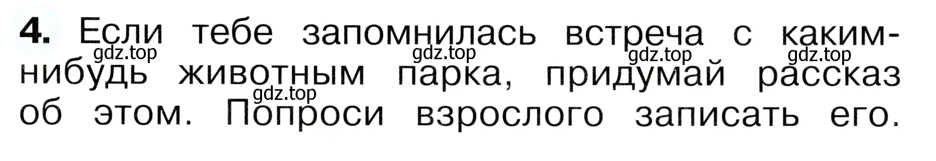 Условие номер 4 (страница 19) гдз по окружающему миру 1 класс Плешаков, Новицкая, рабочая тетрадь 2 часть