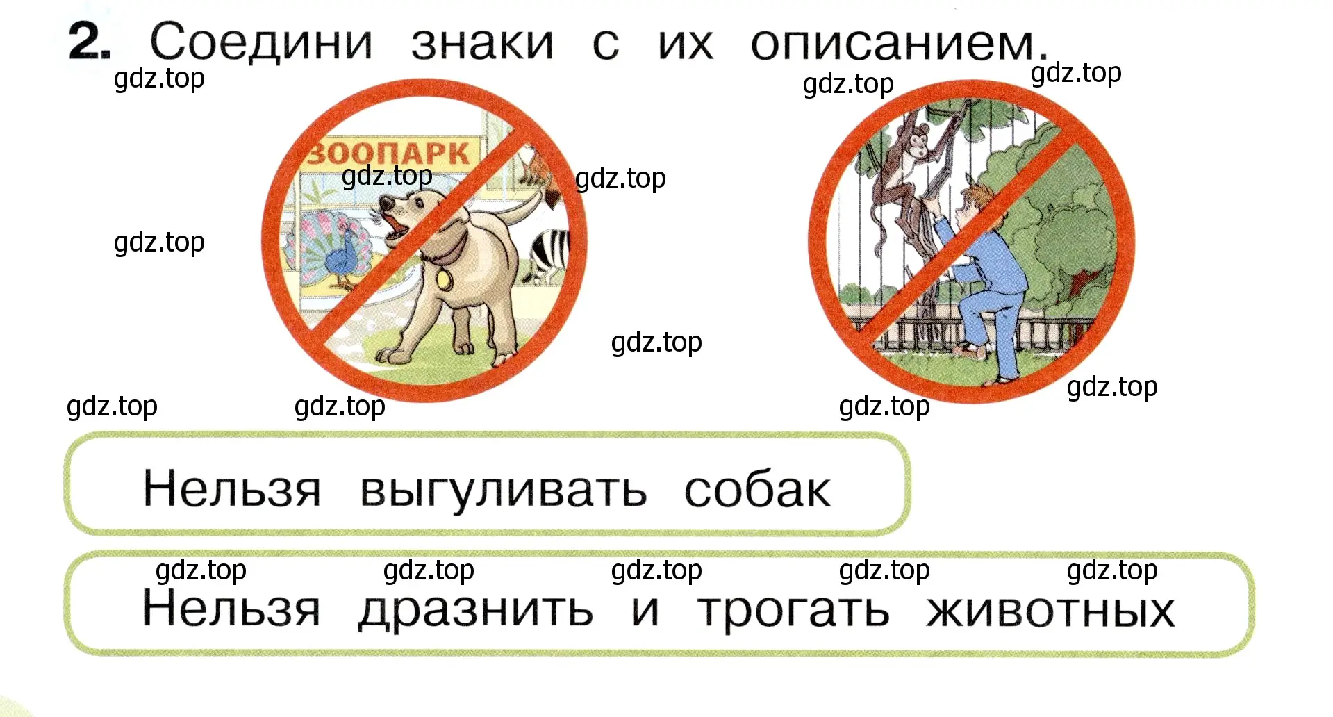 Условие номер 2 (страница 20) гдз по окружающему миру 1 класс Плешаков, Новицкая, рабочая тетрадь 2 часть