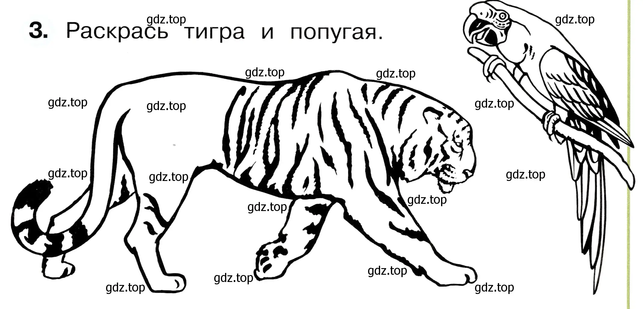 Условие номер 3 (страница 21) гдз по окружающему миру 1 класс Плешаков, Новицкая, рабочая тетрадь 2 часть