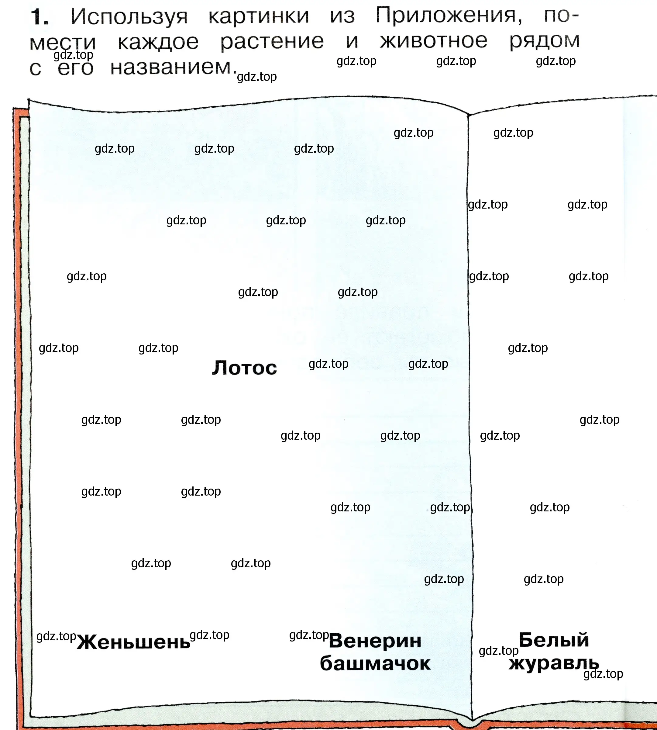 Условие номер 1 (страница 42) гдз по окружающему миру 1 класс Плешаков, Новицкая, рабочая тетрадь 2 часть