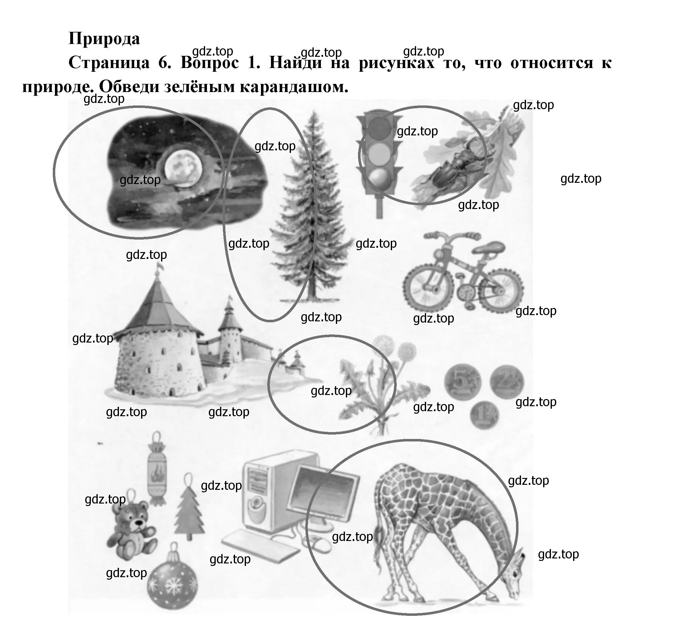 Решение номер 1 (страница 6) гдз по окружающему миру 1 класс Плешаков, Новицкая, рабочая тетрадь 1 часть