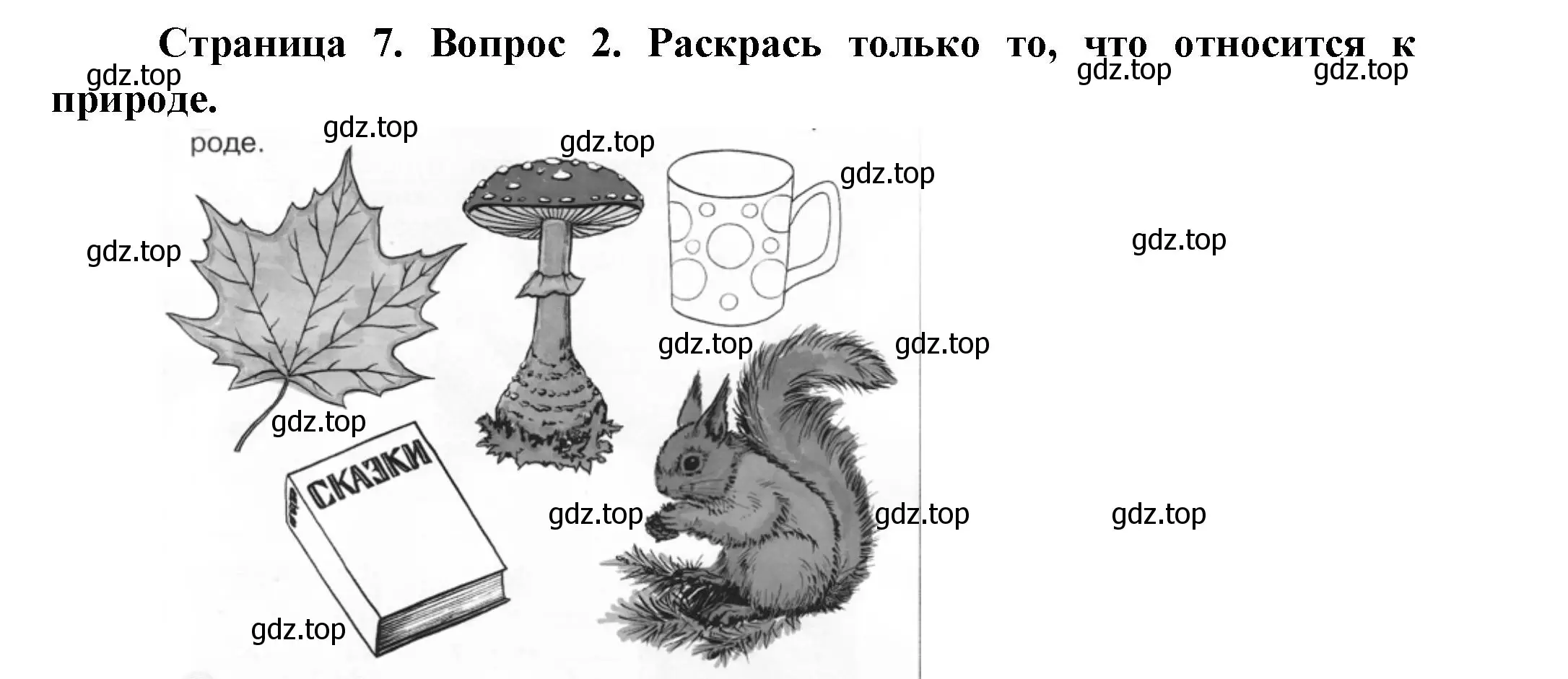 Решение номер 2 (страница 7) гдз по окружающему миру 1 класс Плешаков, Новицкая, рабочая тетрадь 1 часть