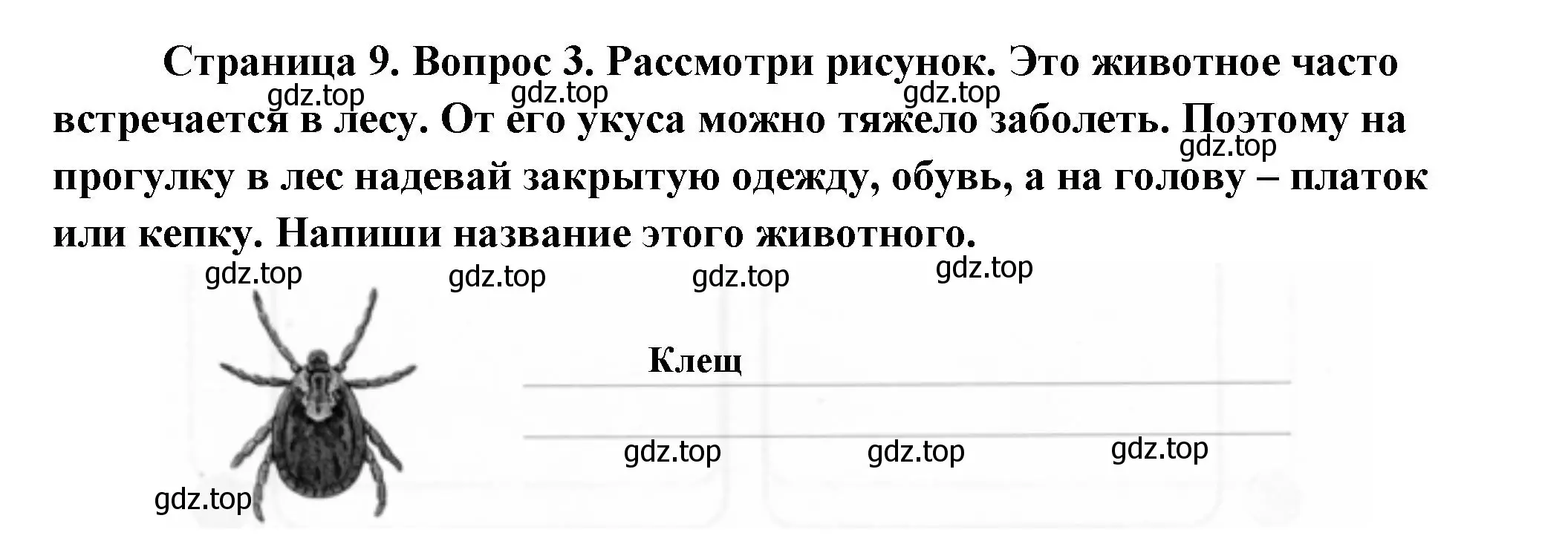 Решение номер 3 (страница 9) гдз по окружающему миру 1 класс Плешаков, Новицкая, рабочая тетрадь 1 часть