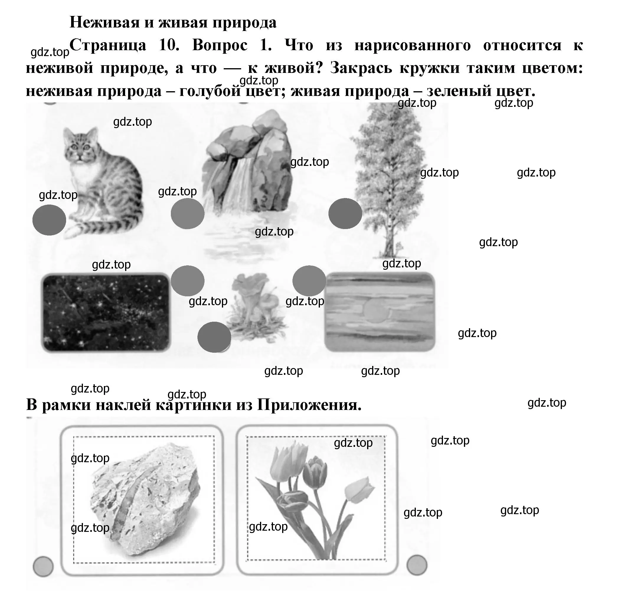 Решение номер 1 (страница 10) гдз по окружающему миру 1 класс Плешаков, Новицкая, рабочая тетрадь 1 часть