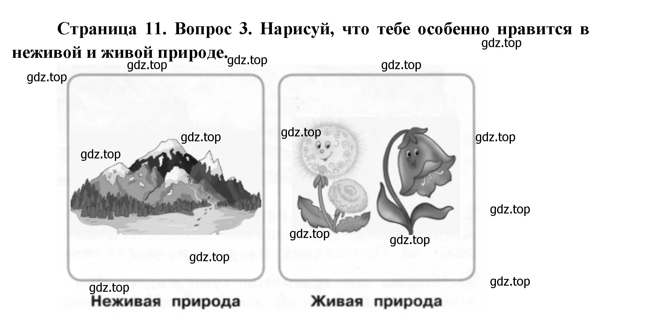 Решение номер 3 (страница 11) гдз по окружающему миру 1 класс Плешаков, Новицкая, рабочая тетрадь 1 часть