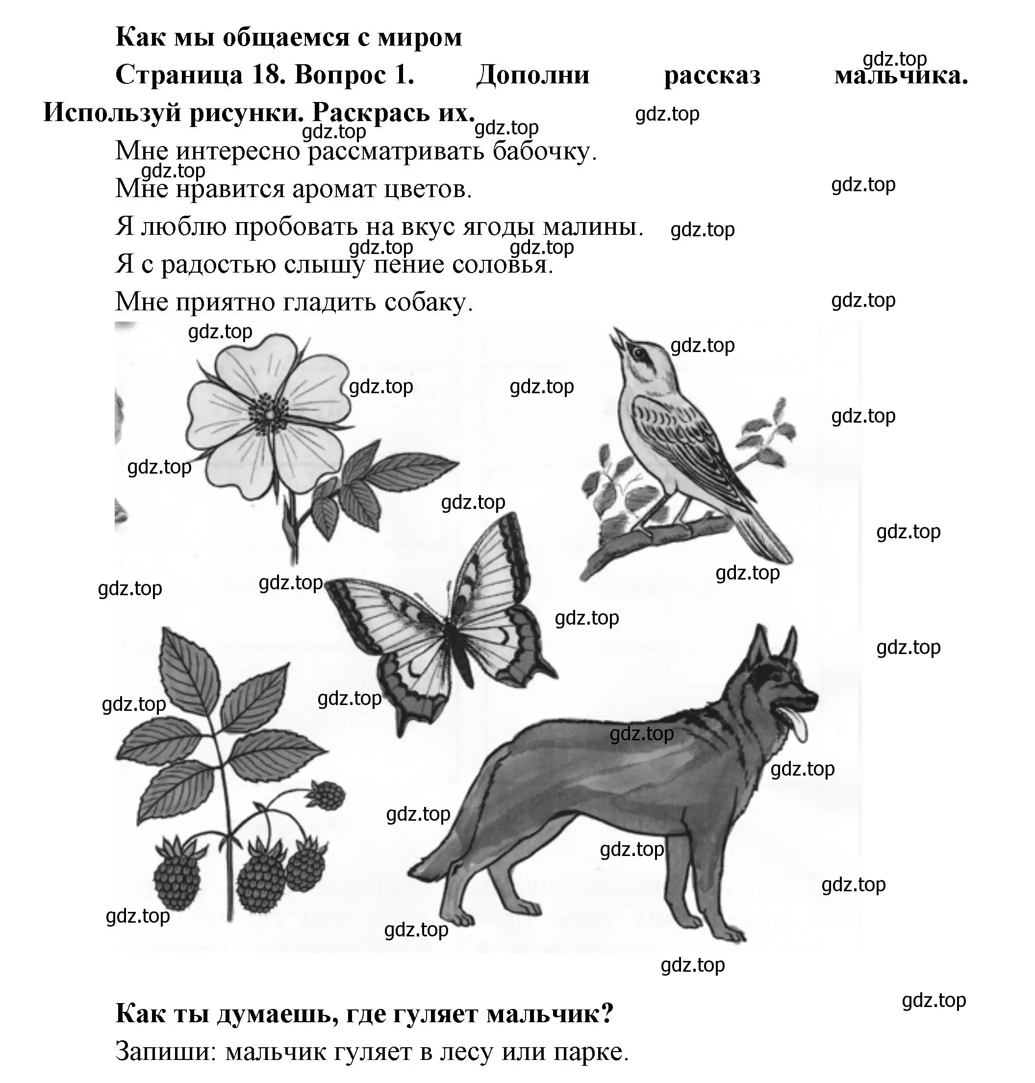 Решение номер 1 (страница 18) гдз по окружающему миру 1 класс Плешаков, Новицкая, рабочая тетрадь 1 часть