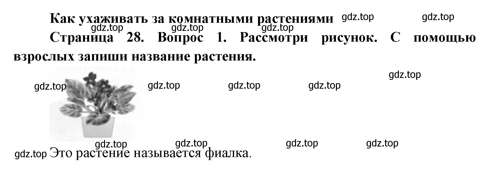 Решение номер 1 (страница 28) гдз по окружающему миру 1 класс Плешаков, Новицкая, рабочая тетрадь 1 часть