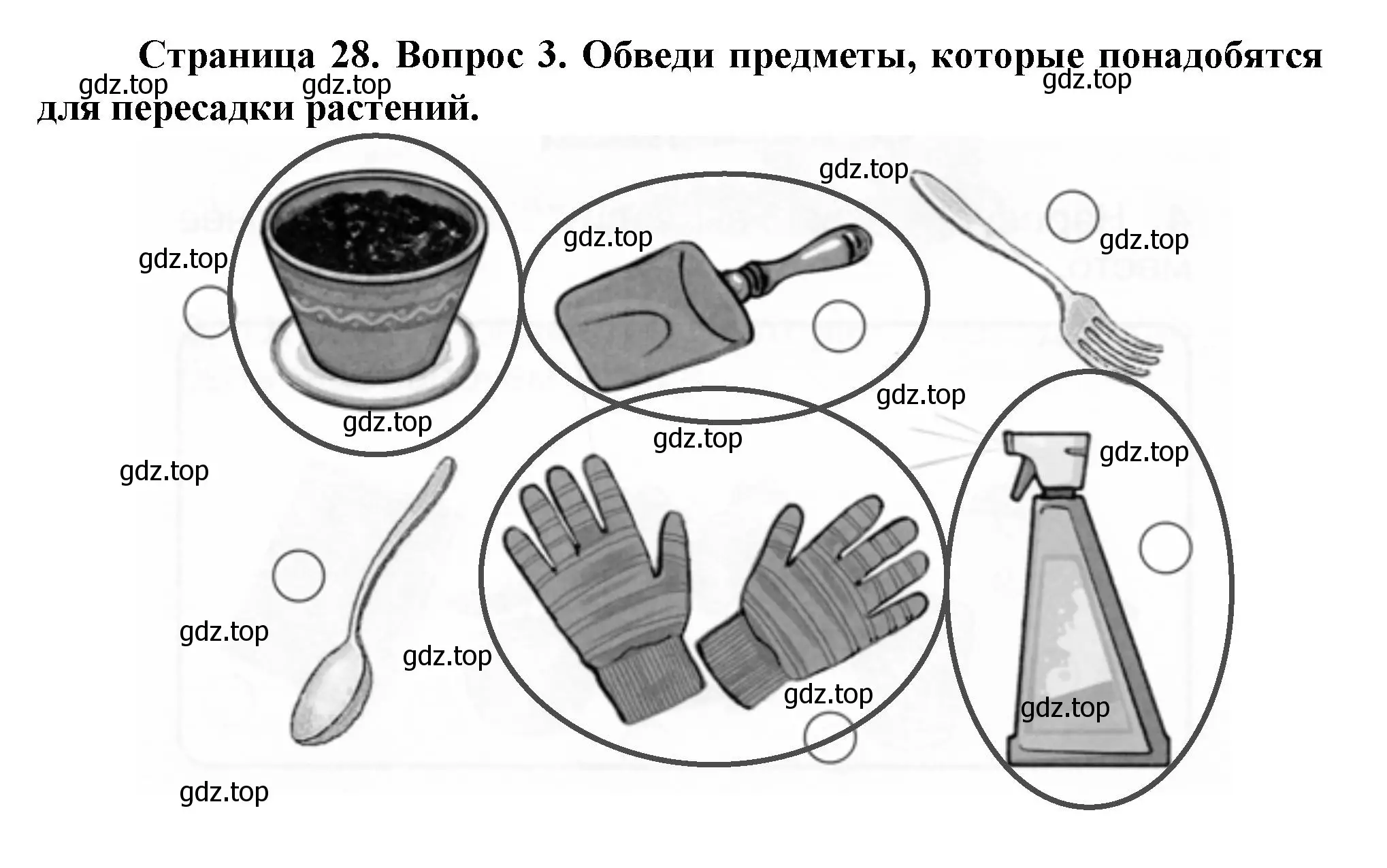 Решение номер 3 (страница 28) гдз по окружающему миру 1 класс Плешаков, Новицкая, рабочая тетрадь 1 часть