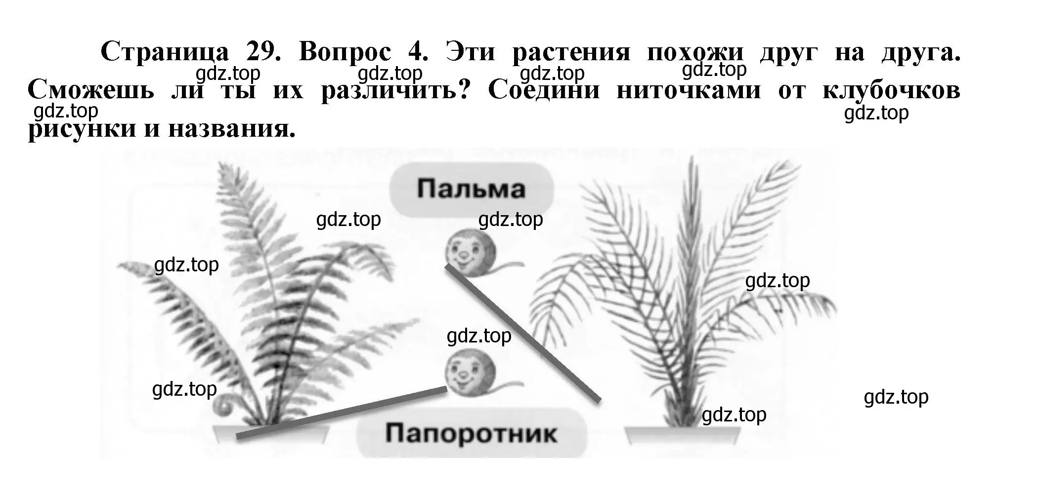 Решение номер 4 (страница 29) гдз по окружающему миру 1 класс Плешаков, Новицкая, рабочая тетрадь 1 часть