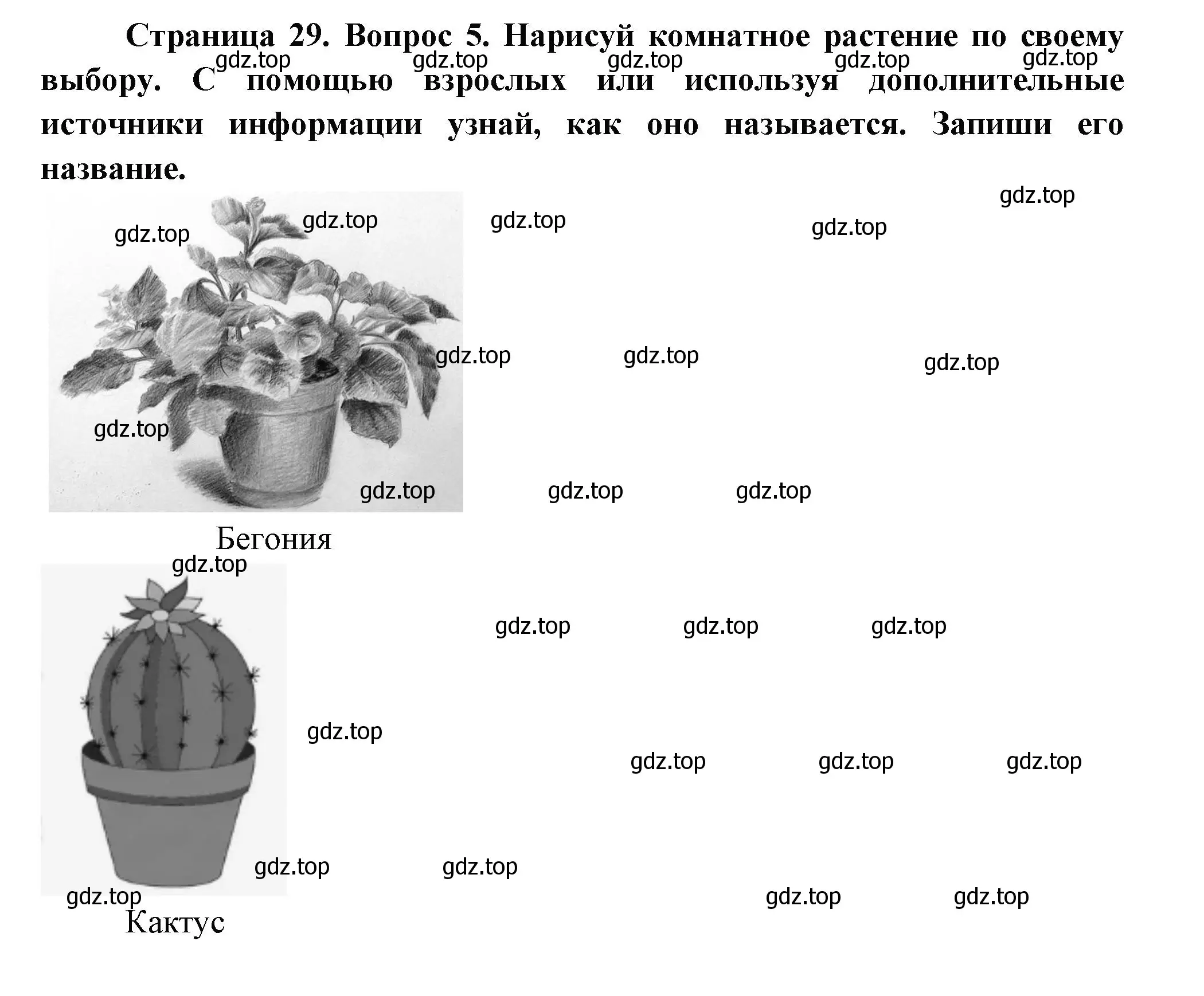 Решение номер 5 (страница 29) гдз по окружающему миру 1 класс Плешаков, Новицкая, рабочая тетрадь 1 часть