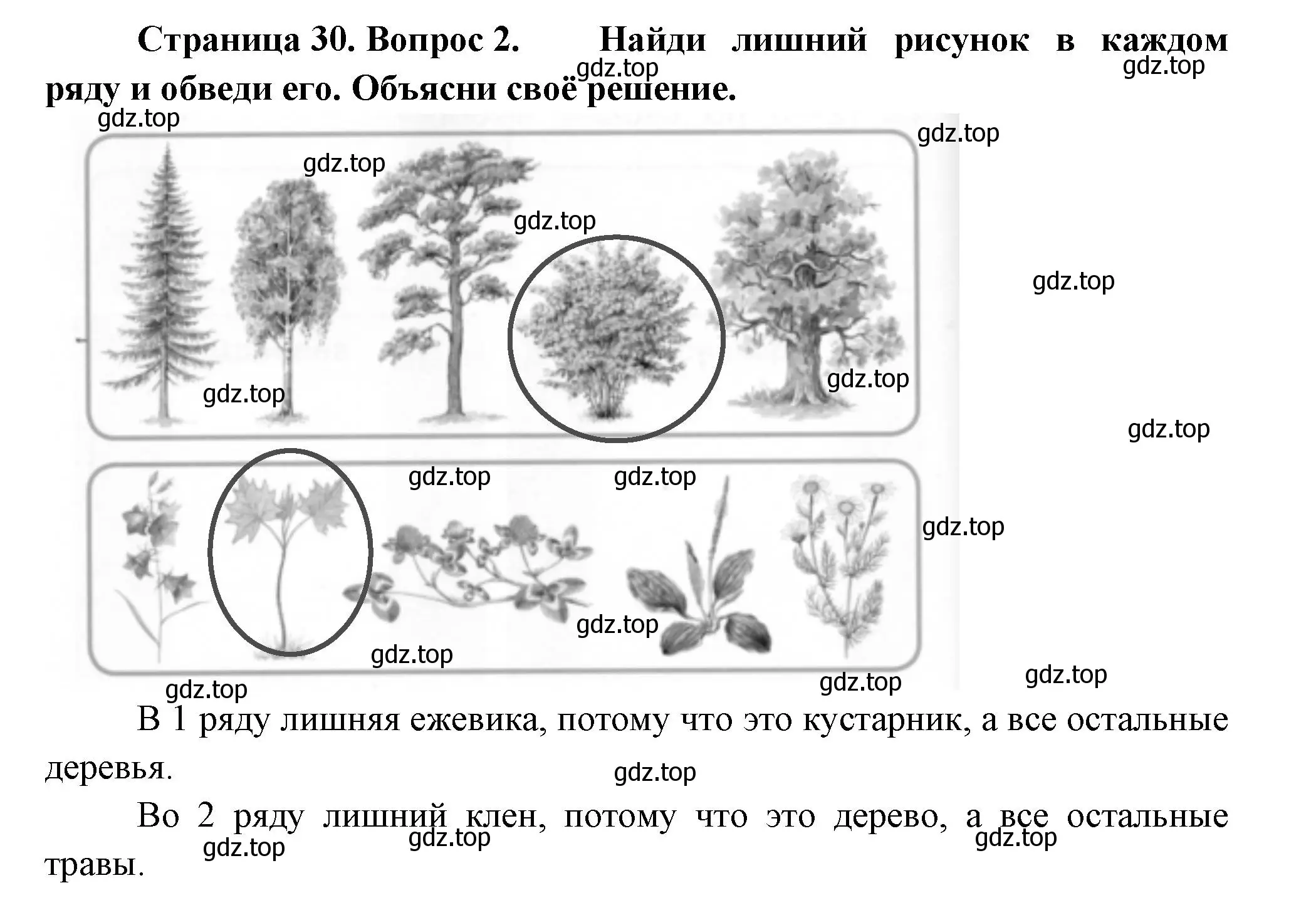 Решение номер 2 (страница 30) гдз по окружающему миру 1 класс Плешаков, Новицкая, рабочая тетрадь 1 часть