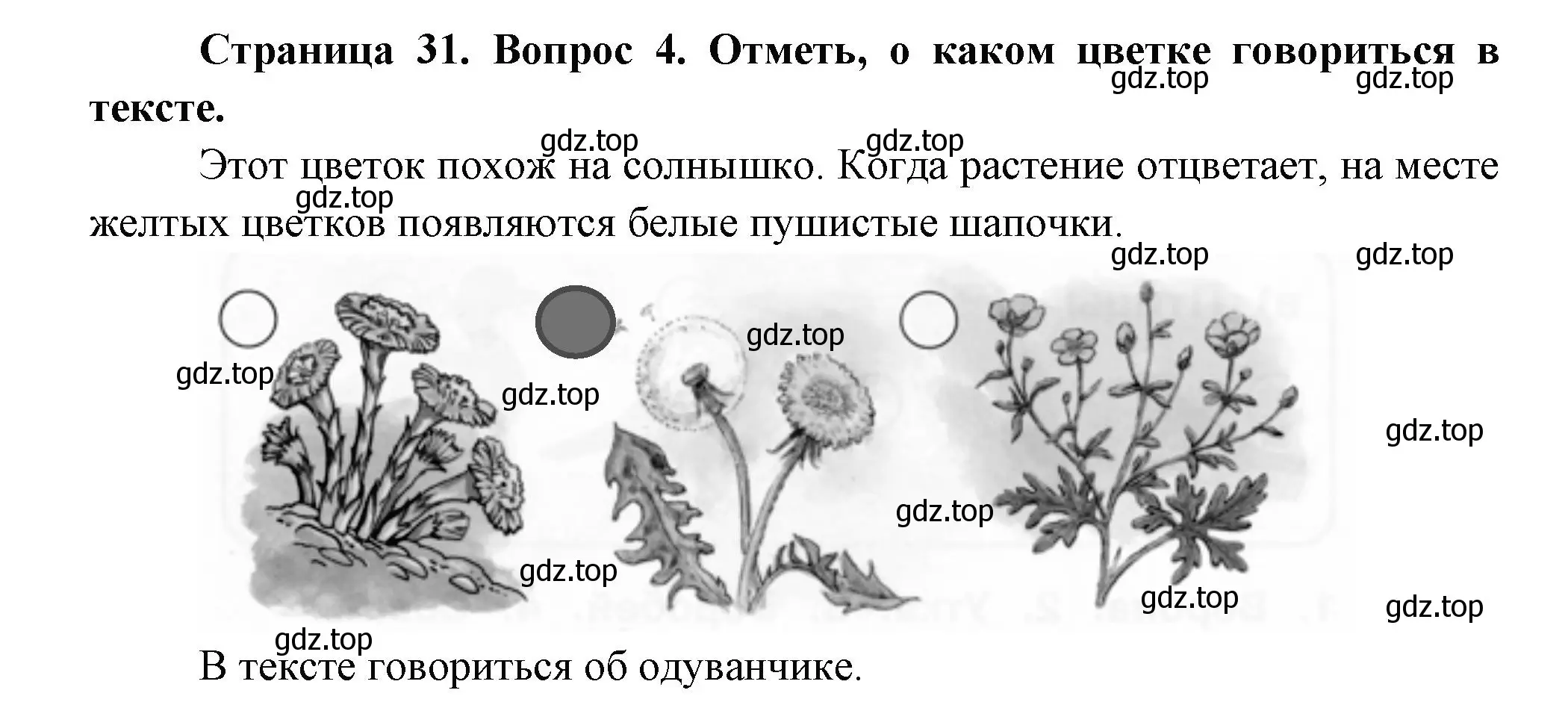 Решение номер 4 (страница 31) гдз по окружающему миру 1 класс Плешаков, Новицкая, рабочая тетрадь 1 часть