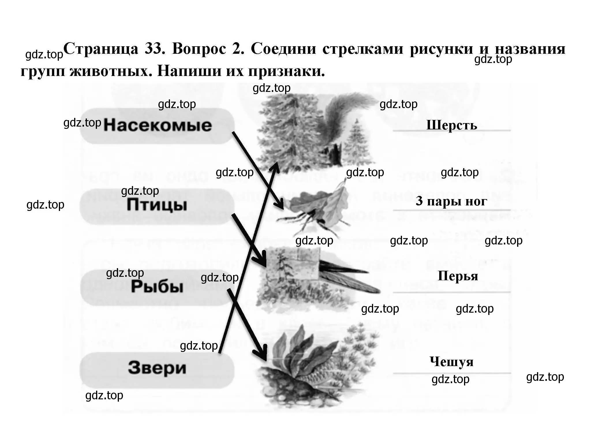 Решение номер 2 (страница 33) гдз по окружающему миру 1 класс Плешаков, Новицкая, рабочая тетрадь 1 часть