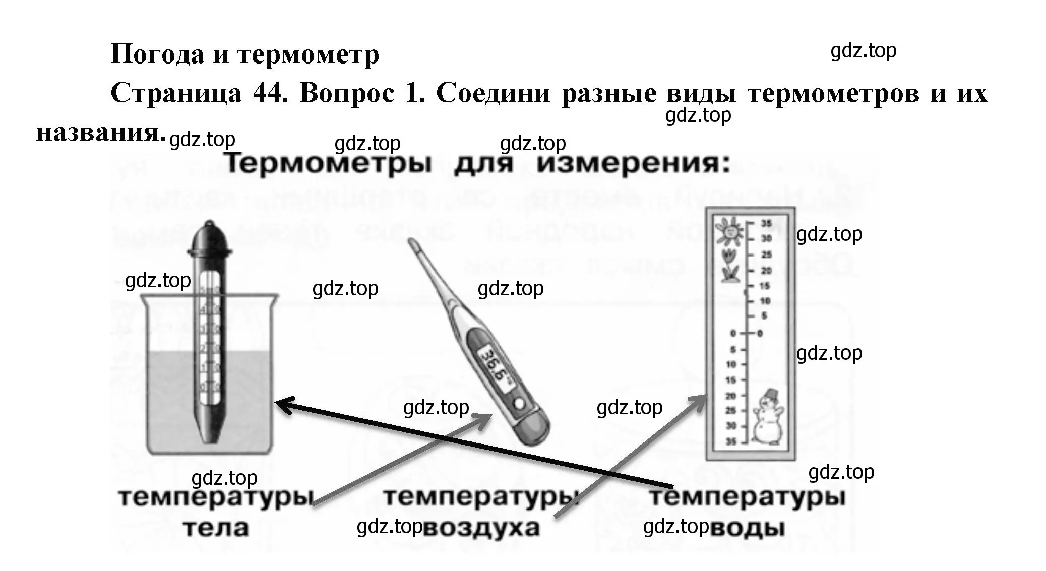 Решение номер 1 (страница 44) гдз по окружающему миру 1 класс Плешаков, Новицкая, рабочая тетрадь 1 часть