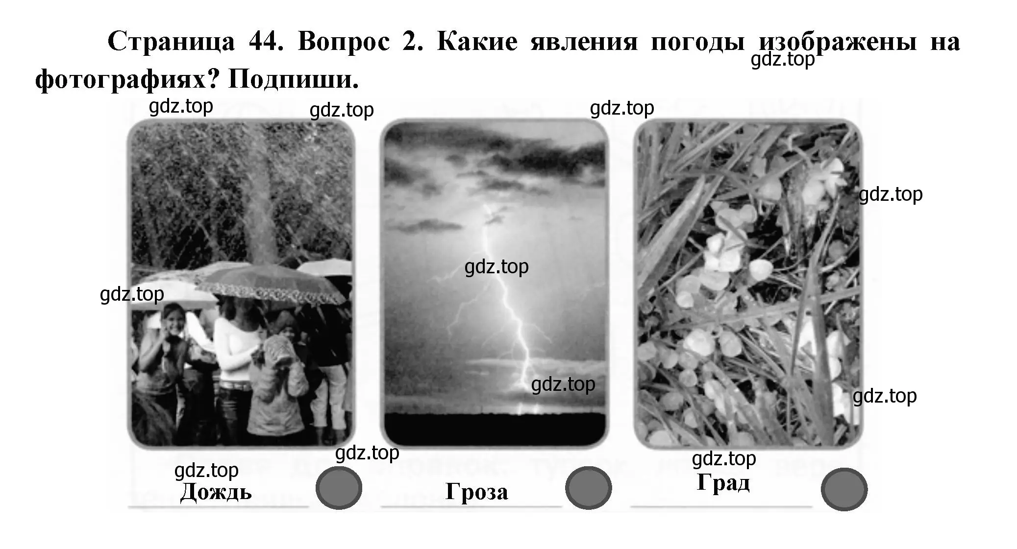 Решение номер 2 (страница 44) гдз по окружающему миру 1 класс Плешаков, Новицкая, рабочая тетрадь 1 часть