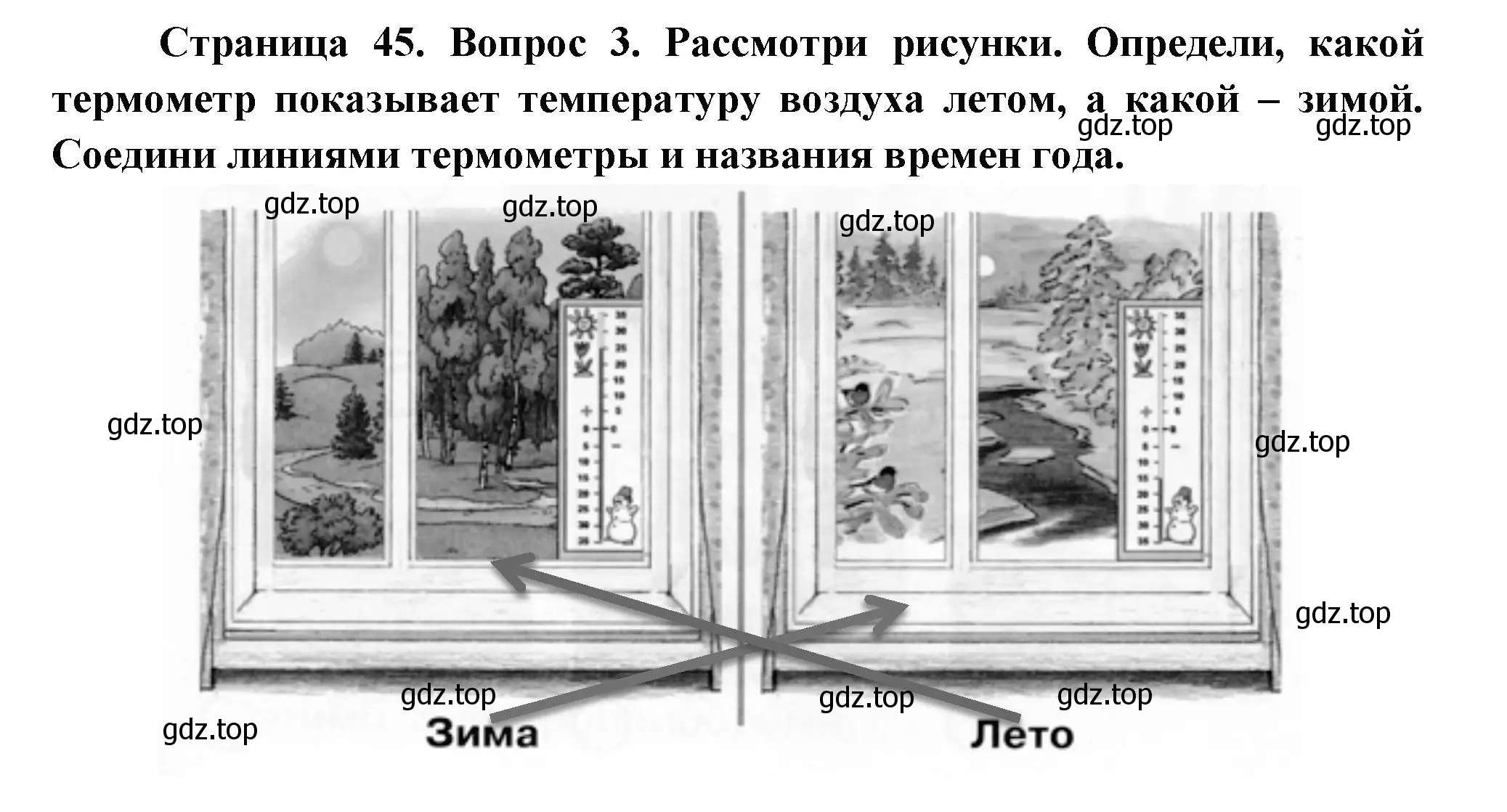 Решение номер 3 (страница 45) гдз по окружающему миру 1 класс Плешаков, Новицкая, рабочая тетрадь 1 часть