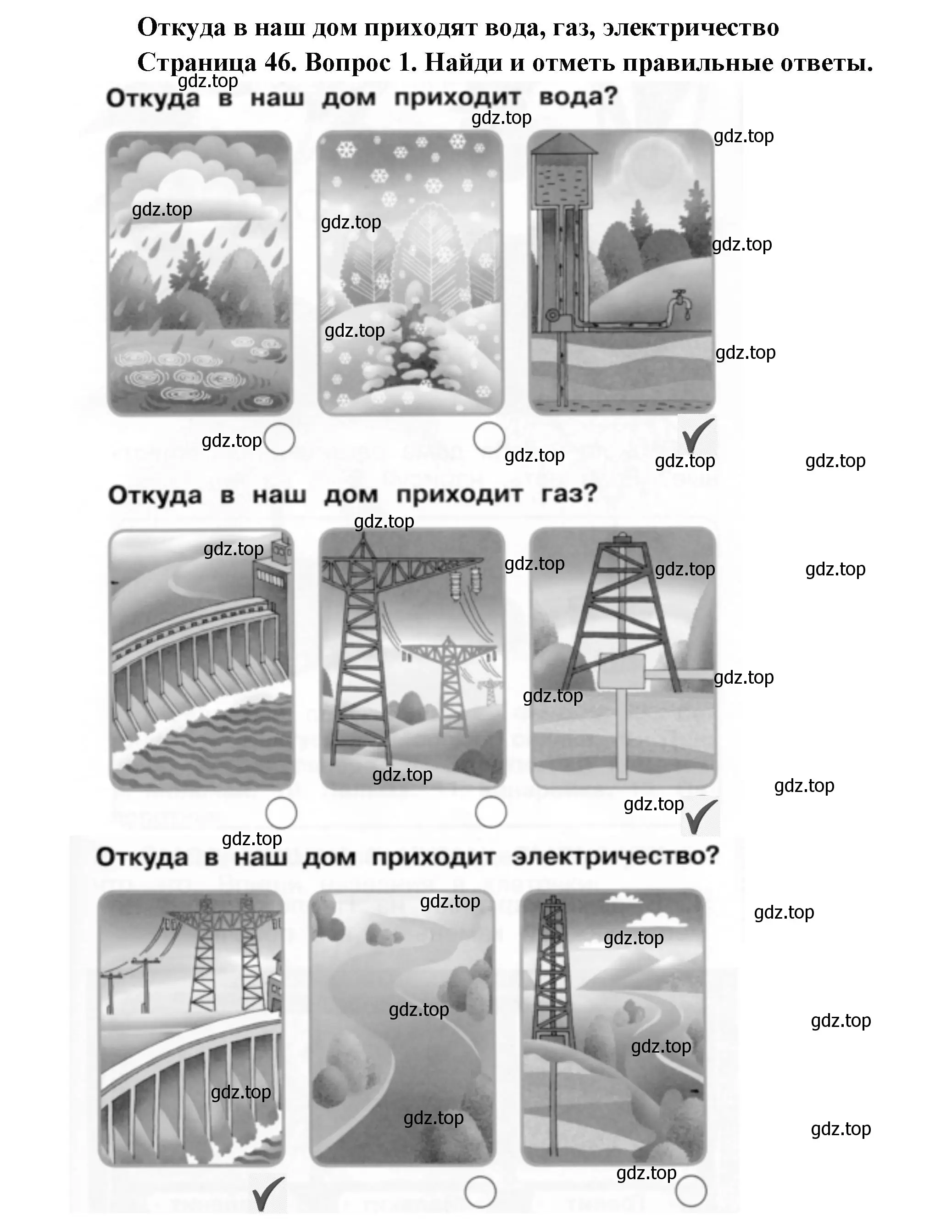 Решение номер 1 (страница 46) гдз по окружающему миру 1 класс Плешаков, Новицкая, рабочая тетрадь 1 часть