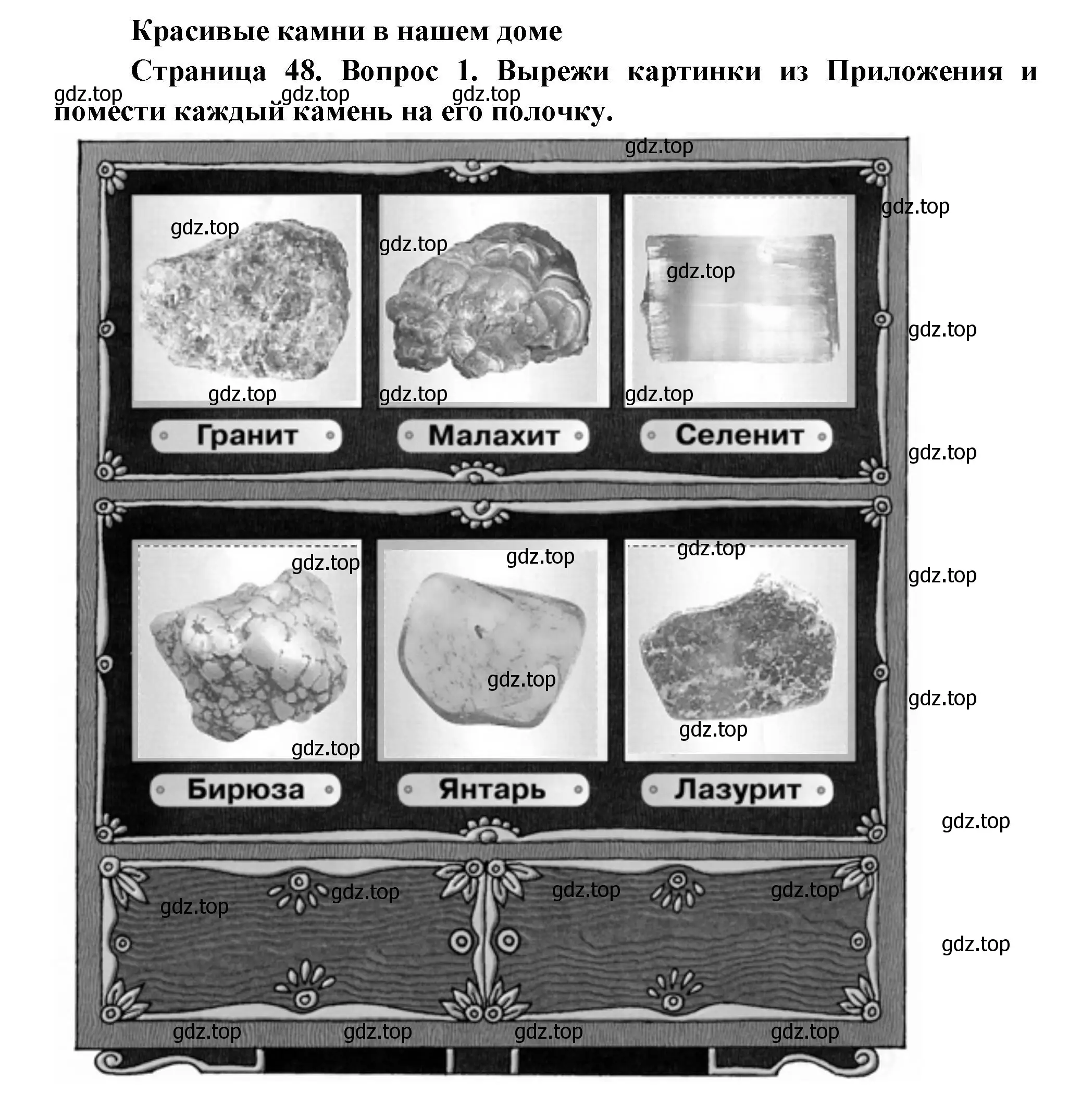 Решение номер 1 (страница 48) гдз по окружающему миру 1 класс Плешаков, Новицкая, рабочая тетрадь 1 часть