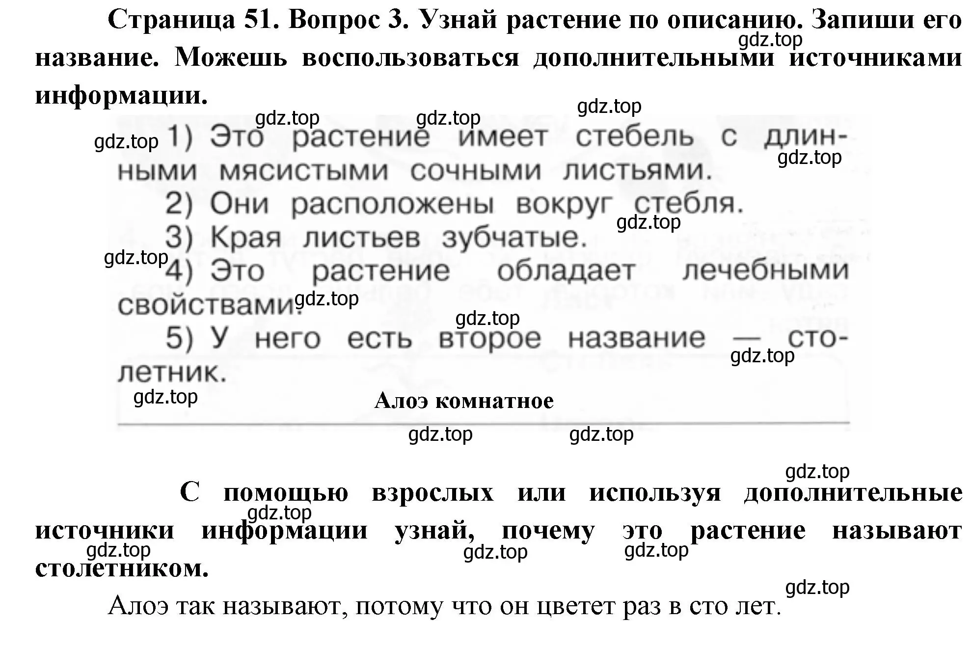 Решение номер 3 (страница 51) гдз по окружающему миру 1 класс Плешаков, Новицкая, рабочая тетрадь 1 часть