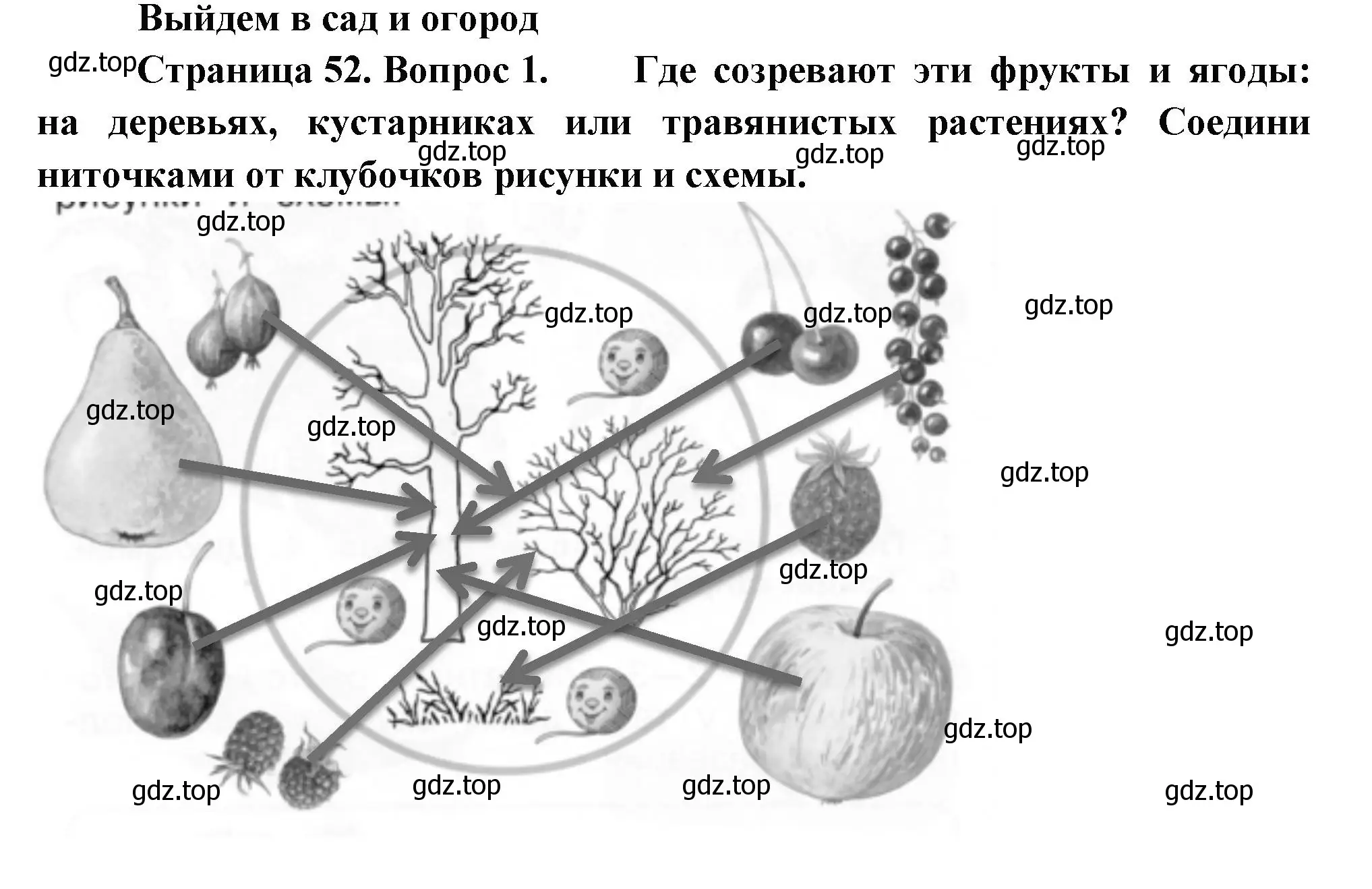 Решение номер 1 (страница 52) гдз по окружающему миру 1 класс Плешаков, Новицкая, рабочая тетрадь 1 часть