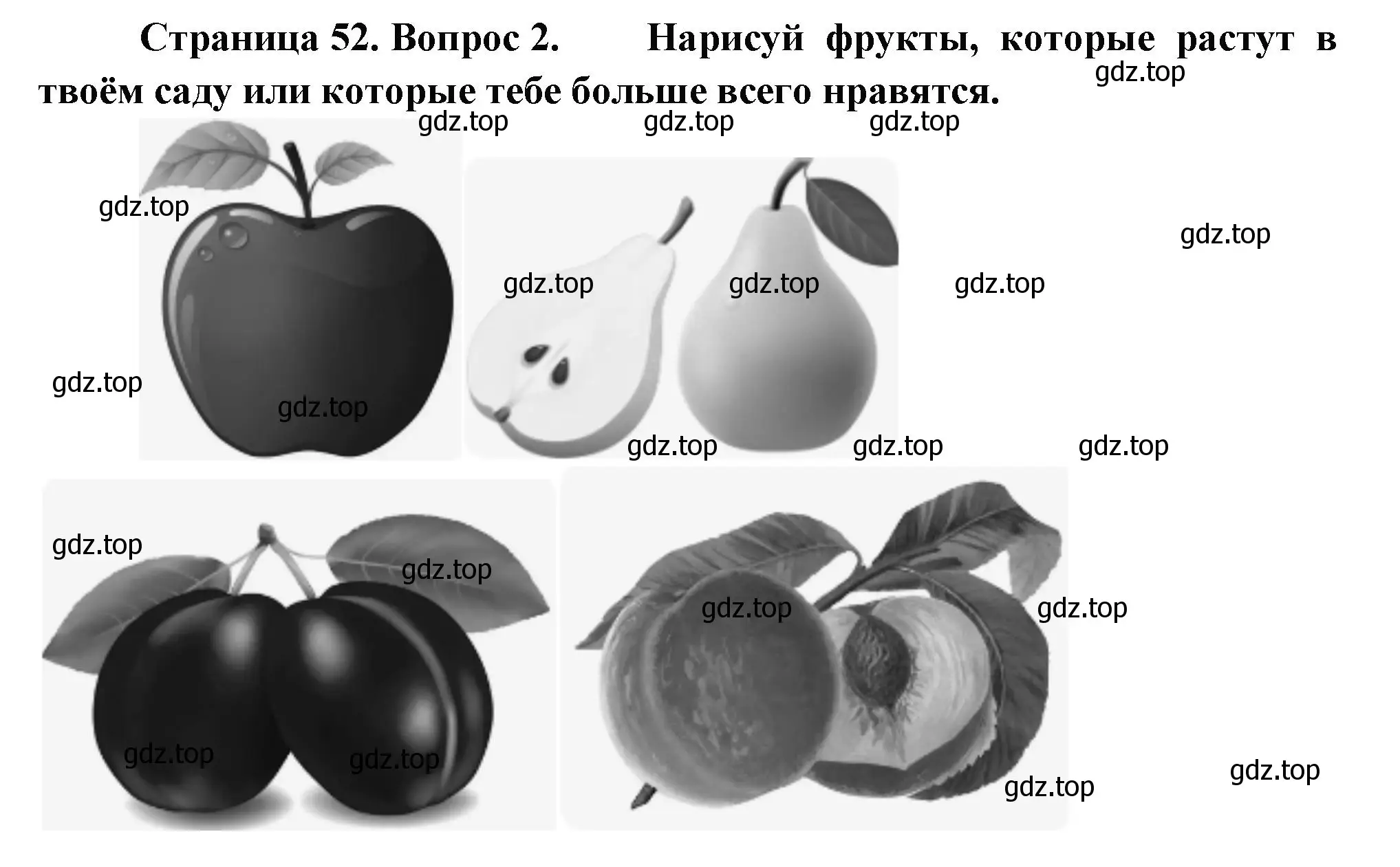 Решение номер 2 (страница 52) гдз по окружающему миру 1 класс Плешаков, Новицкая, рабочая тетрадь 1 часть