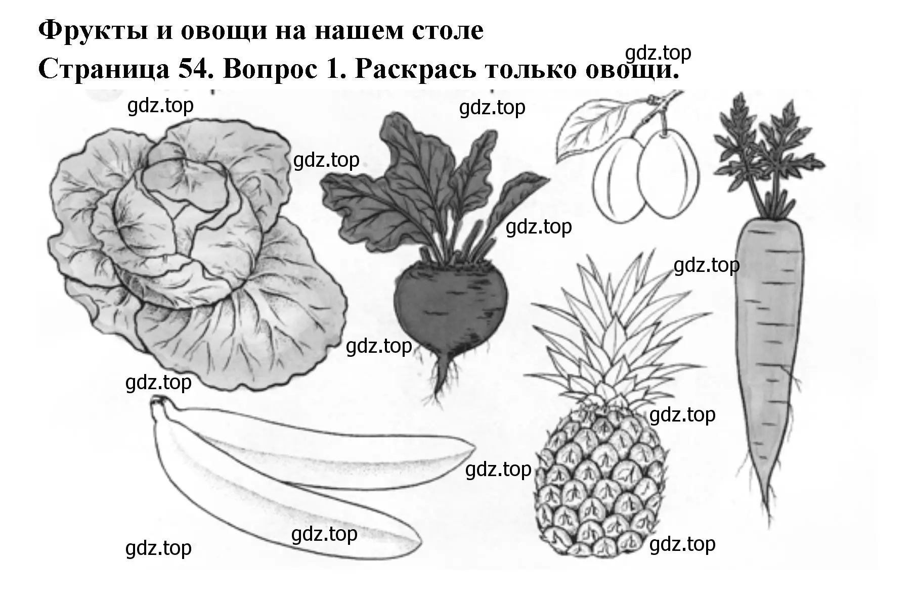 Решение номер 1 (страница 54) гдз по окружающему миру 1 класс Плешаков, Новицкая, рабочая тетрадь 1 часть