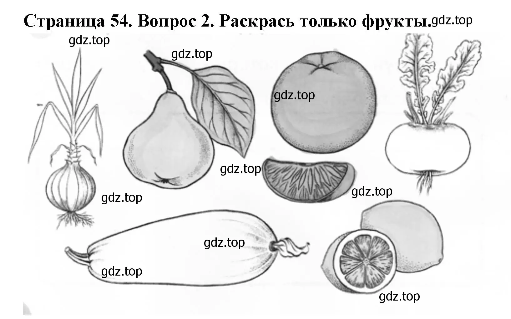 Решение номер 2 (страница 54) гдз по окружающему миру 1 класс Плешаков, Новицкая, рабочая тетрадь 1 часть