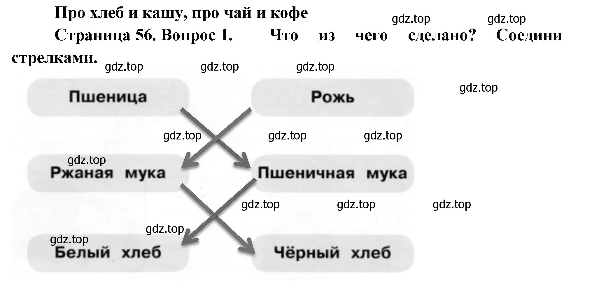 Решение номер 1 (страница 56) гдз по окружающему миру 1 класс Плешаков, Новицкая, рабочая тетрадь 1 часть