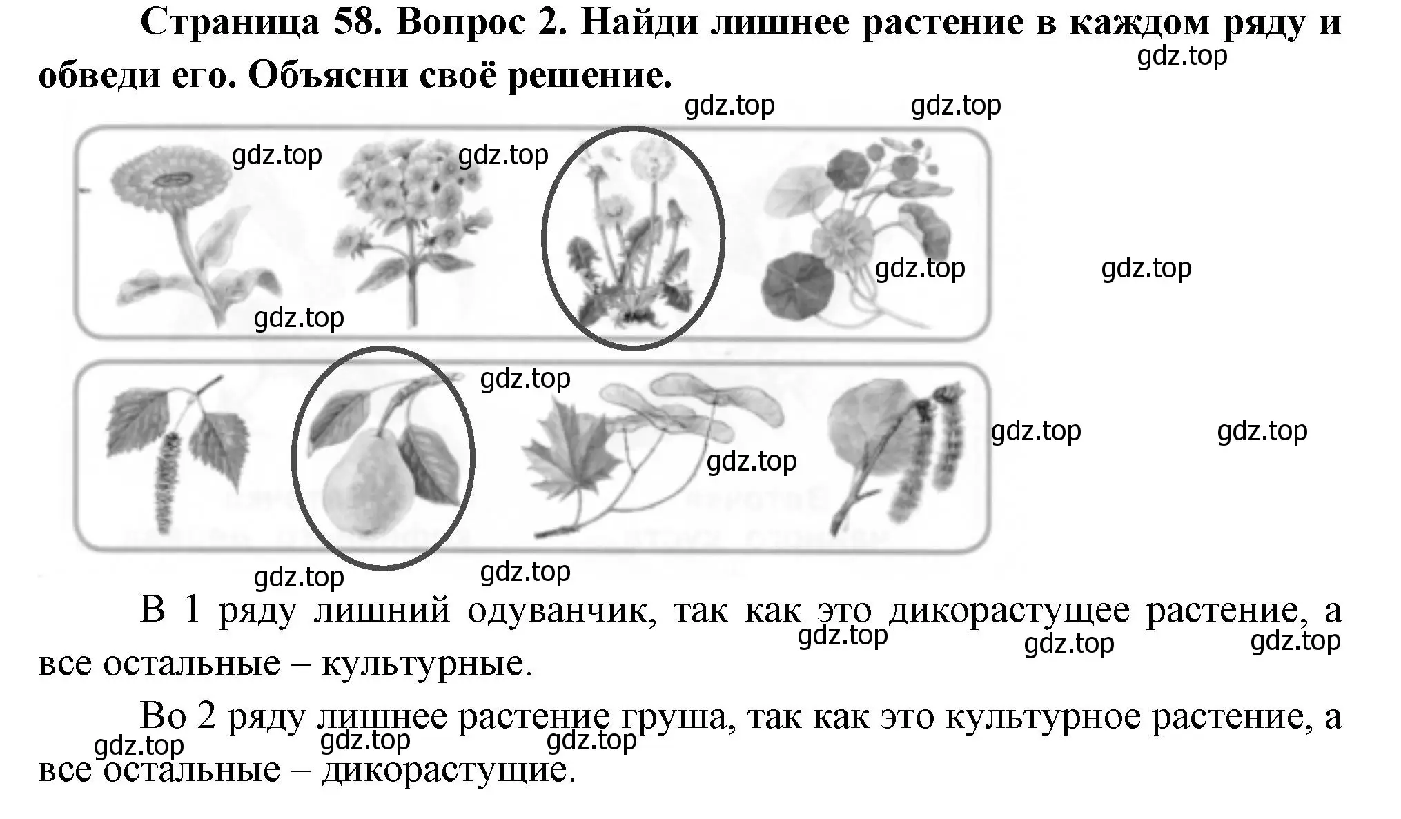 Решение номер 2 (страница 58) гдз по окружающему миру 1 класс Плешаков, Новицкая, рабочая тетрадь 1 часть