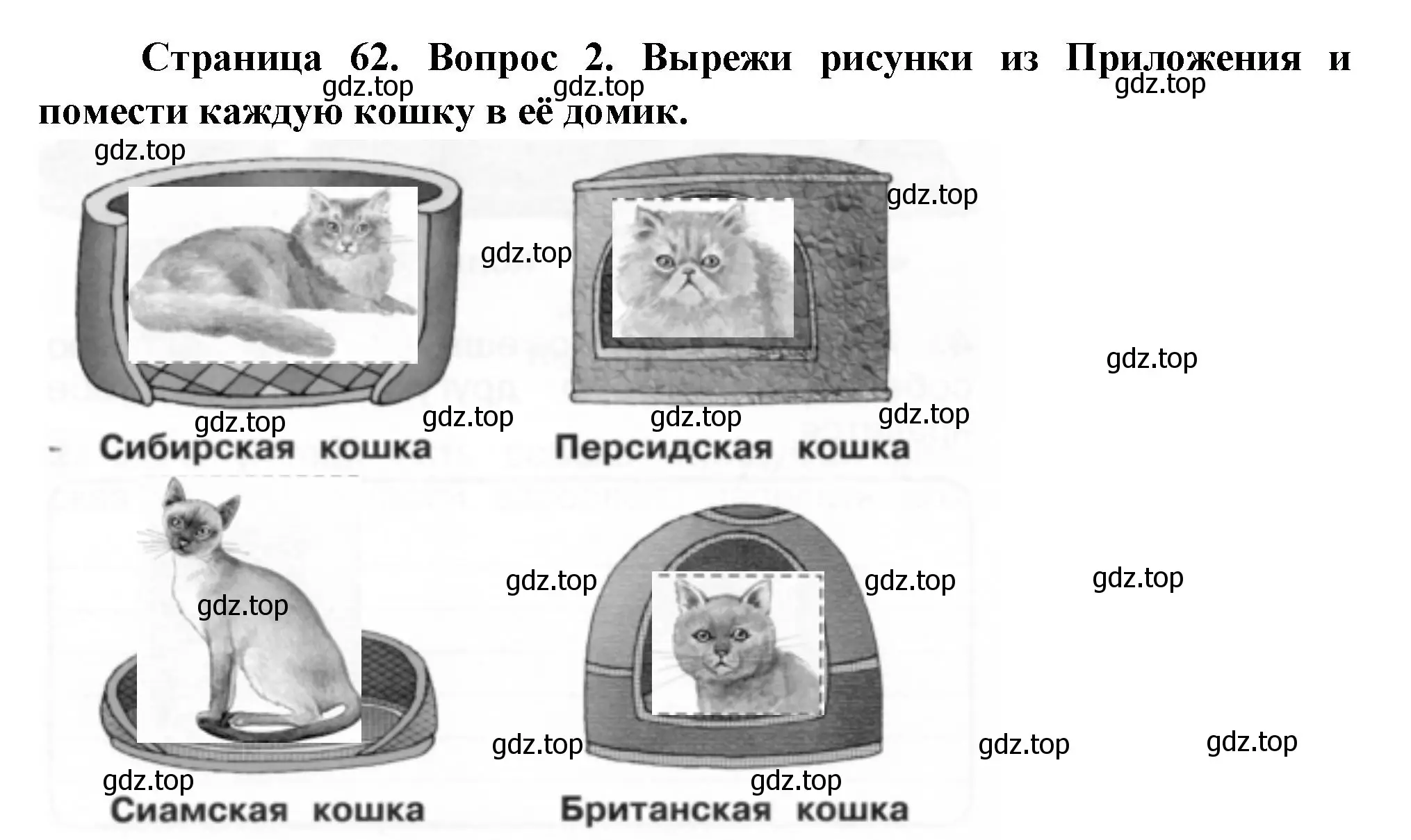 Решение номер 2 (страница 62) гдз по окружающему миру 1 класс Плешаков, Новицкая, рабочая тетрадь 1 часть