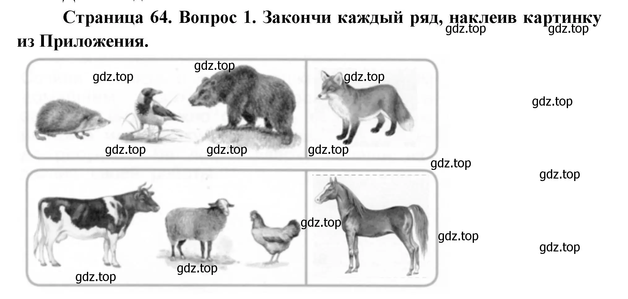 Решение номер 1 (страница 64) гдз по окружающему миру 1 класс Плешаков, Новицкая, рабочая тетрадь 1 часть