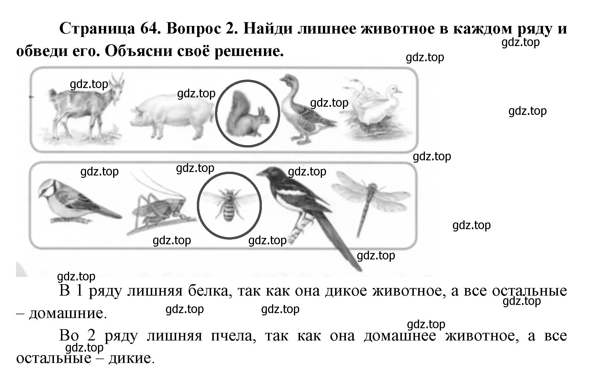 Решение номер 2 (страница 64) гдз по окружающему миру 1 класс Плешаков, Новицкая, рабочая тетрадь 1 часть