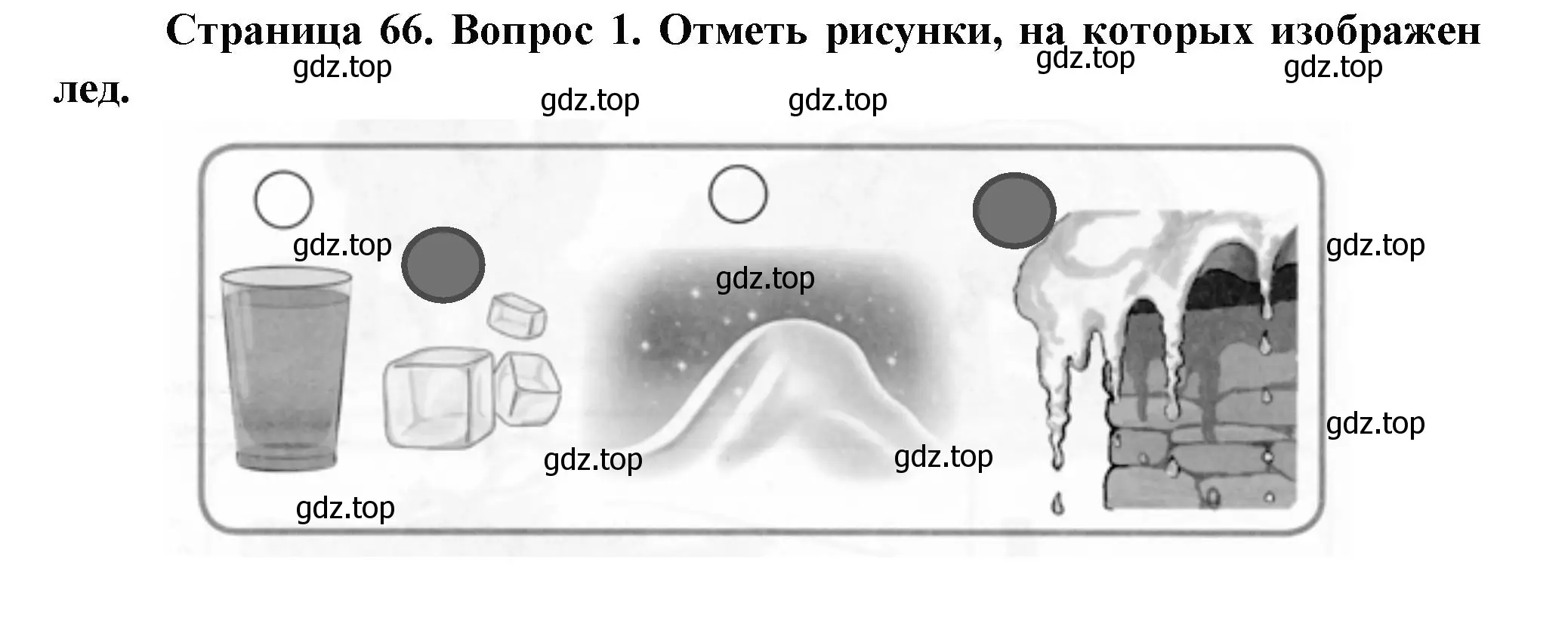 Решение номер 1 (страница 66) гдз по окружающему миру 1 класс Плешаков, Новицкая, рабочая тетрадь 1 часть