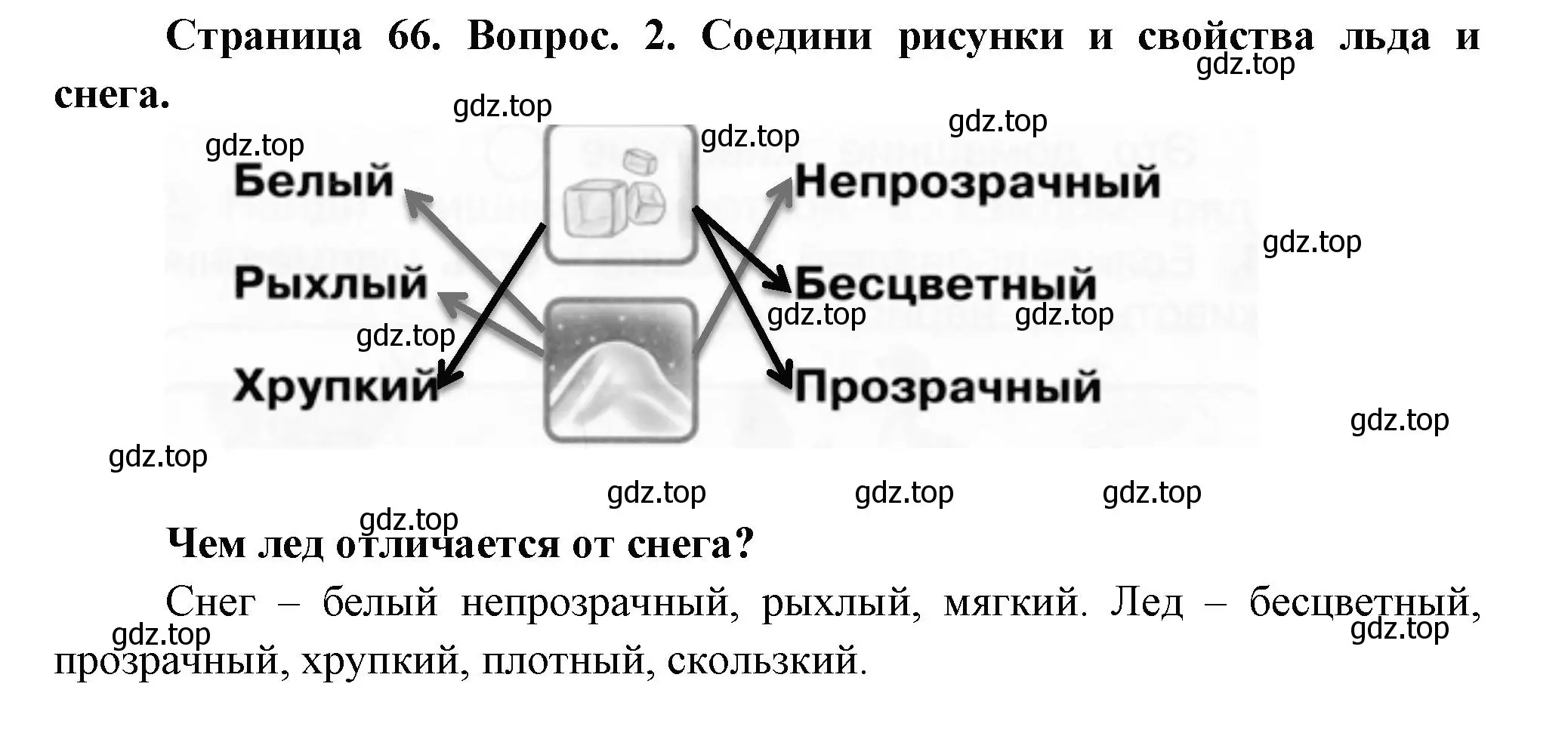 Решение номер 2 (страница 66) гдз по окружающему миру 1 класс Плешаков, Новицкая, рабочая тетрадь 1 часть