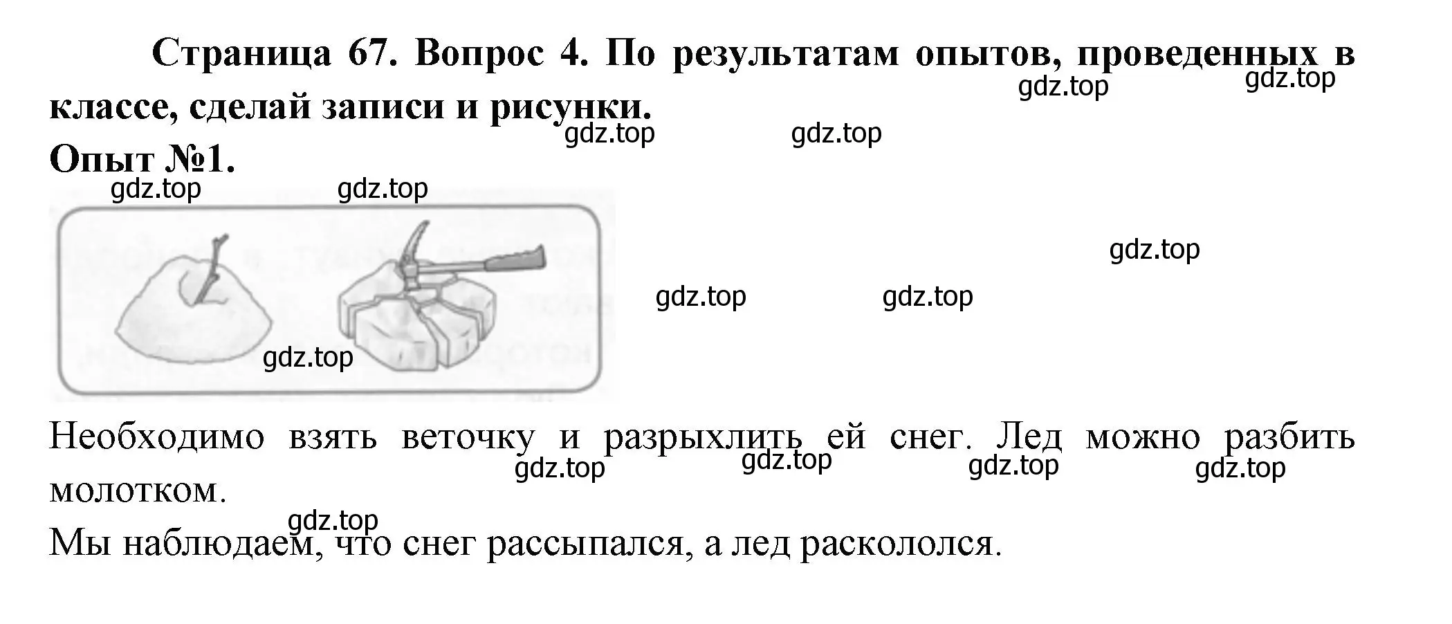 Решение номер 4 (страница 67) гдз по окружающему миру 1 класс Плешаков, Новицкая, рабочая тетрадь 1 часть