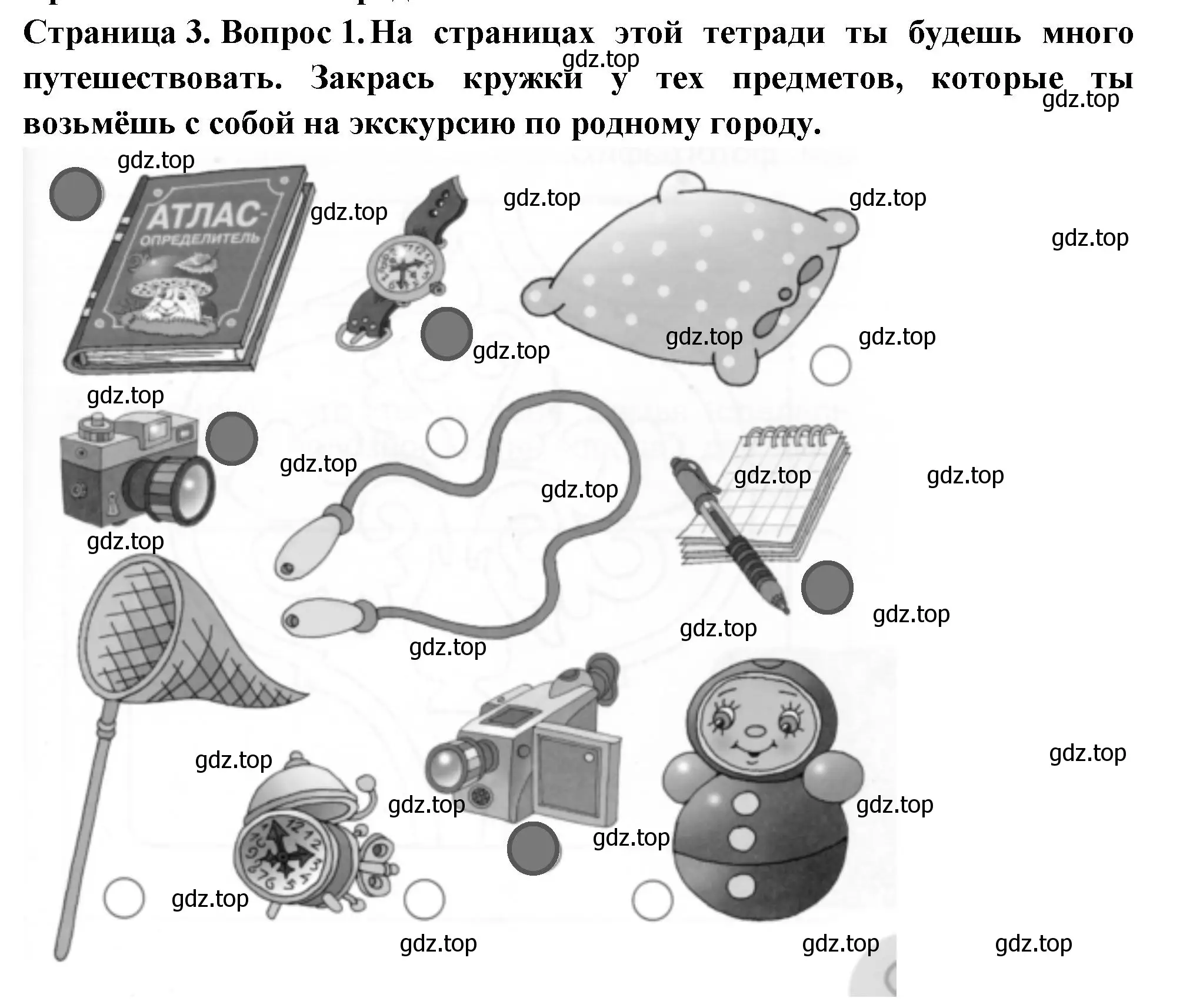 Решение номер 1 (страница 3) гдз по окружающему миру 1 класс Плешаков, Новицкая, рабочая тетрадь 2 часть