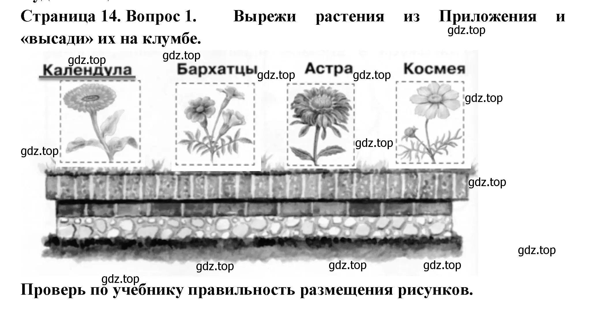 Решение номер 1 (страница 14) гдз по окружающему миру 1 класс Плешаков, Новицкая, рабочая тетрадь 2 часть