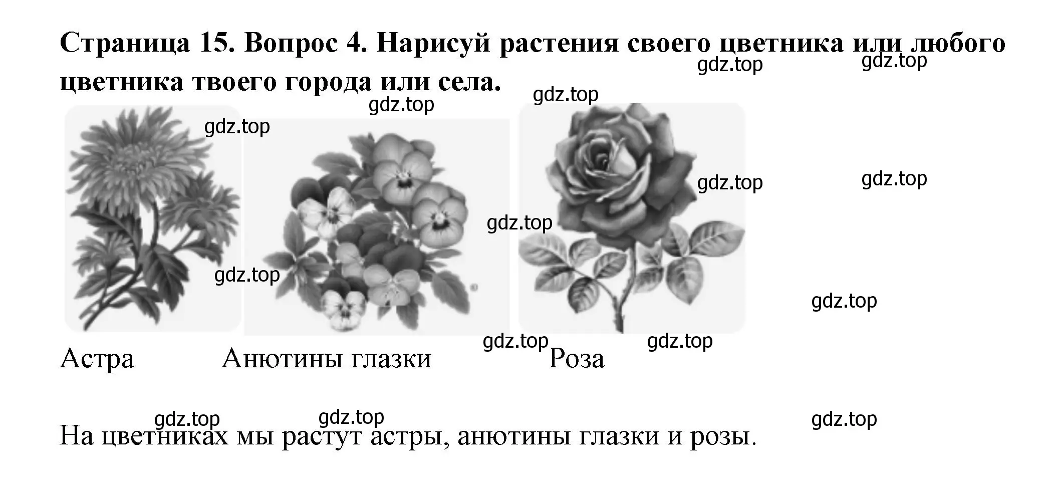 Решение номер 4 (страница 15) гдз по окружающему миру 1 класс Плешаков, Новицкая, рабочая тетрадь 2 часть