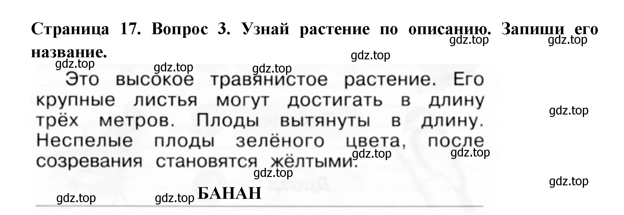 Решение номер 3 (страница 17) гдз по окружающему миру 1 класс Плешаков, Новицкая, рабочая тетрадь 2 часть