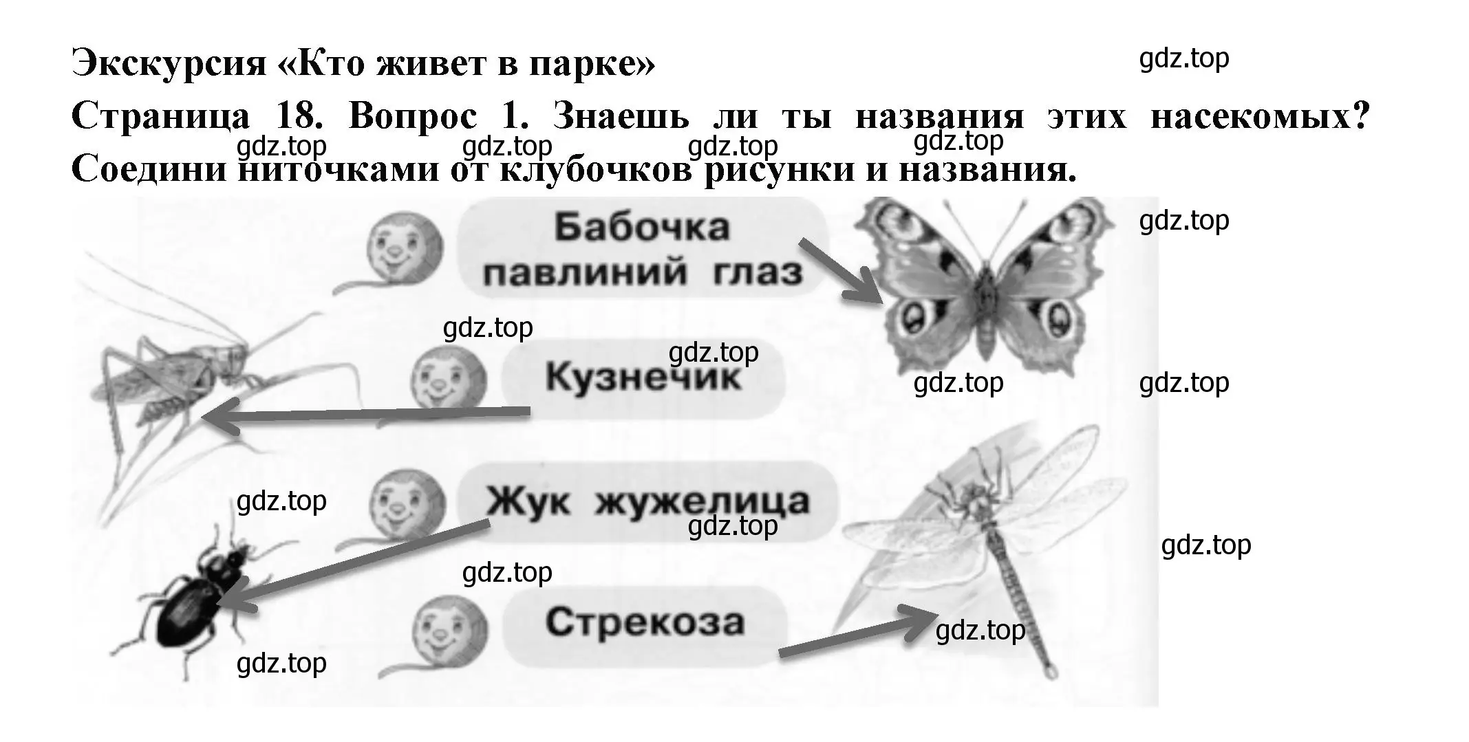 Решение номер 1 (страница 18) гдз по окружающему миру 1 класс Плешаков, Новицкая, рабочая тетрадь 2 часть