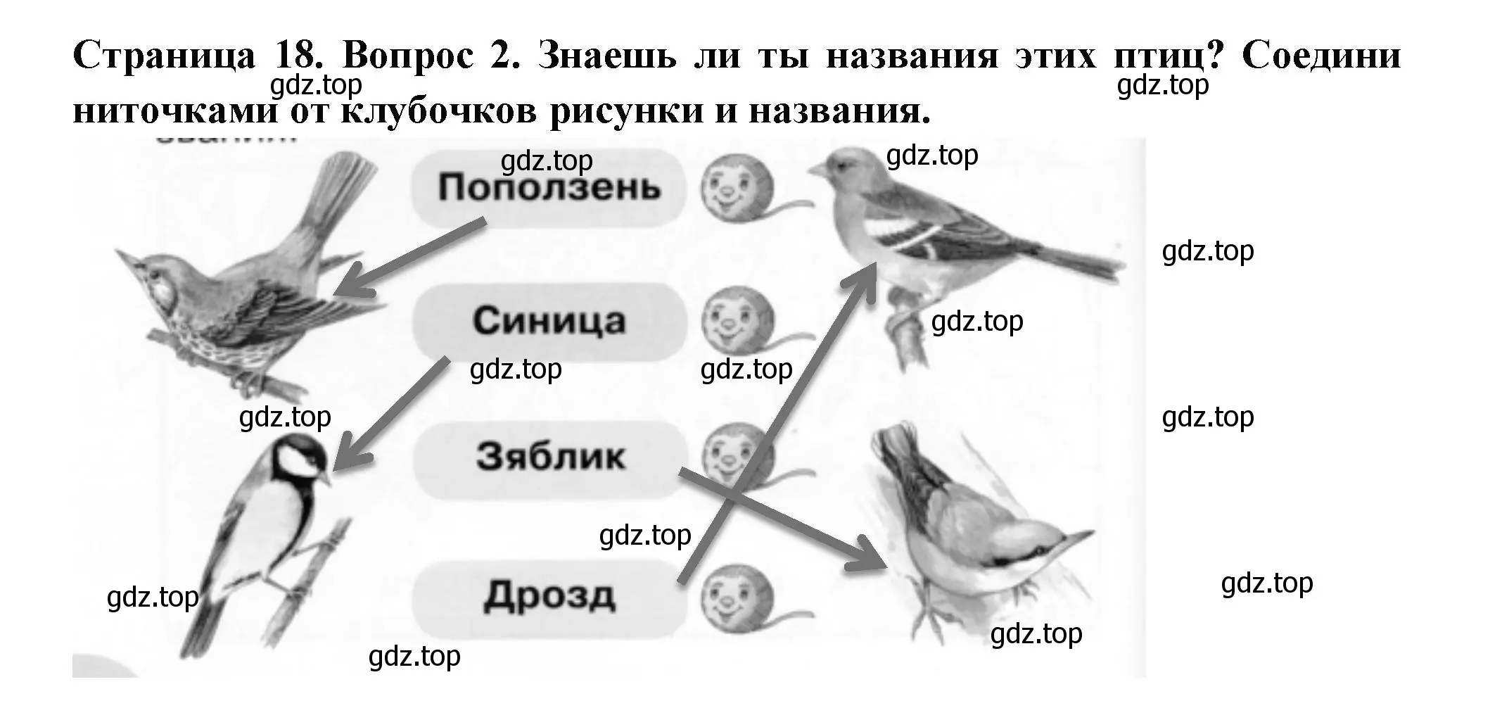 Решение номер 2 (страница 18) гдз по окружающему миру 1 класс Плешаков, Новицкая, рабочая тетрадь 2 часть