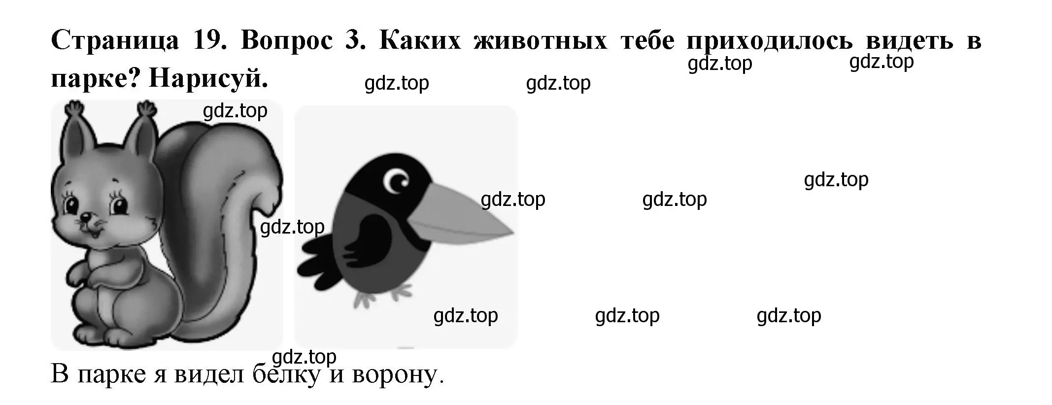 Решение номер 3 (страница 19) гдз по окружающему миру 1 класс Плешаков, Новицкая, рабочая тетрадь 2 часть