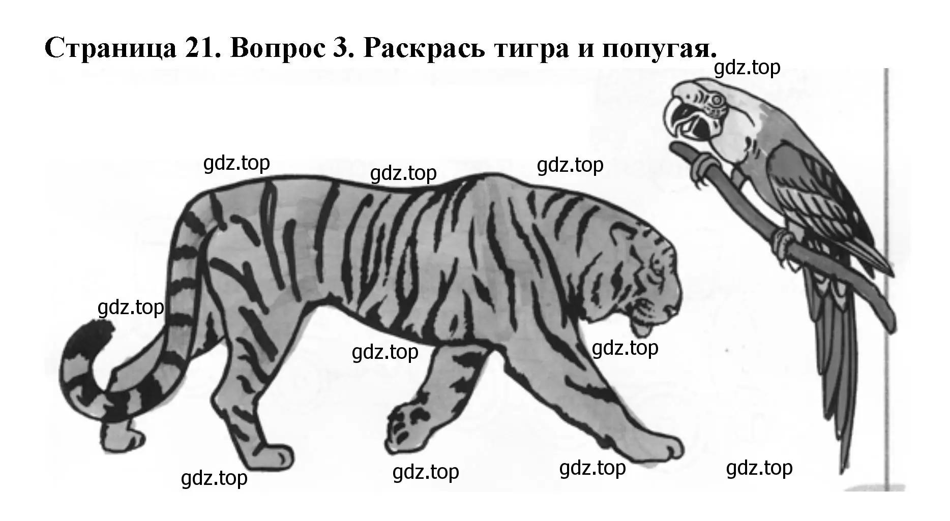 Решение номер 3 (страница 21) гдз по окружающему миру 1 класс Плешаков, Новицкая, рабочая тетрадь 2 часть