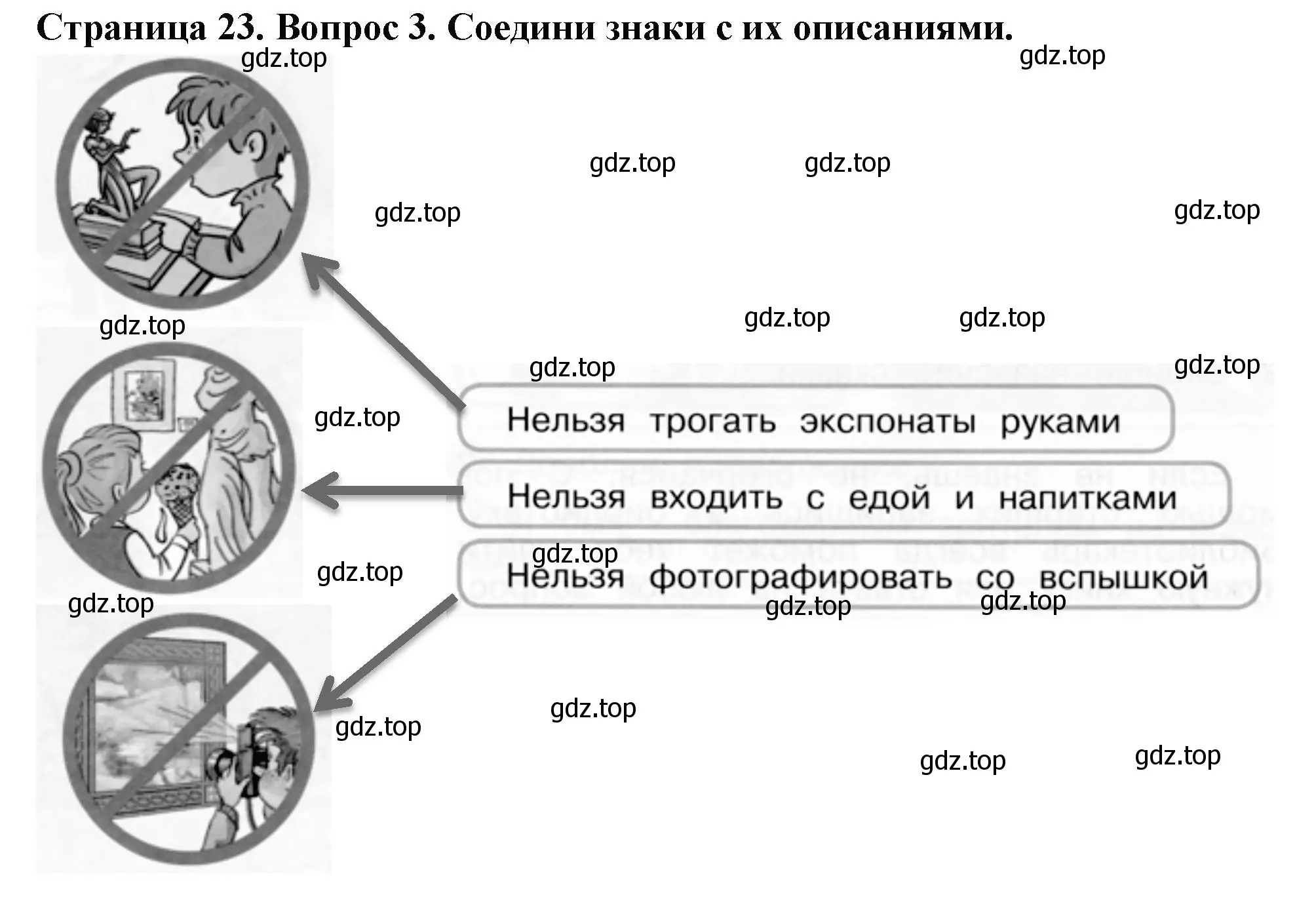 Решение номер 3 (страница 23) гдз по окружающему миру 1 класс Плешаков, Новицкая, рабочая тетрадь 2 часть