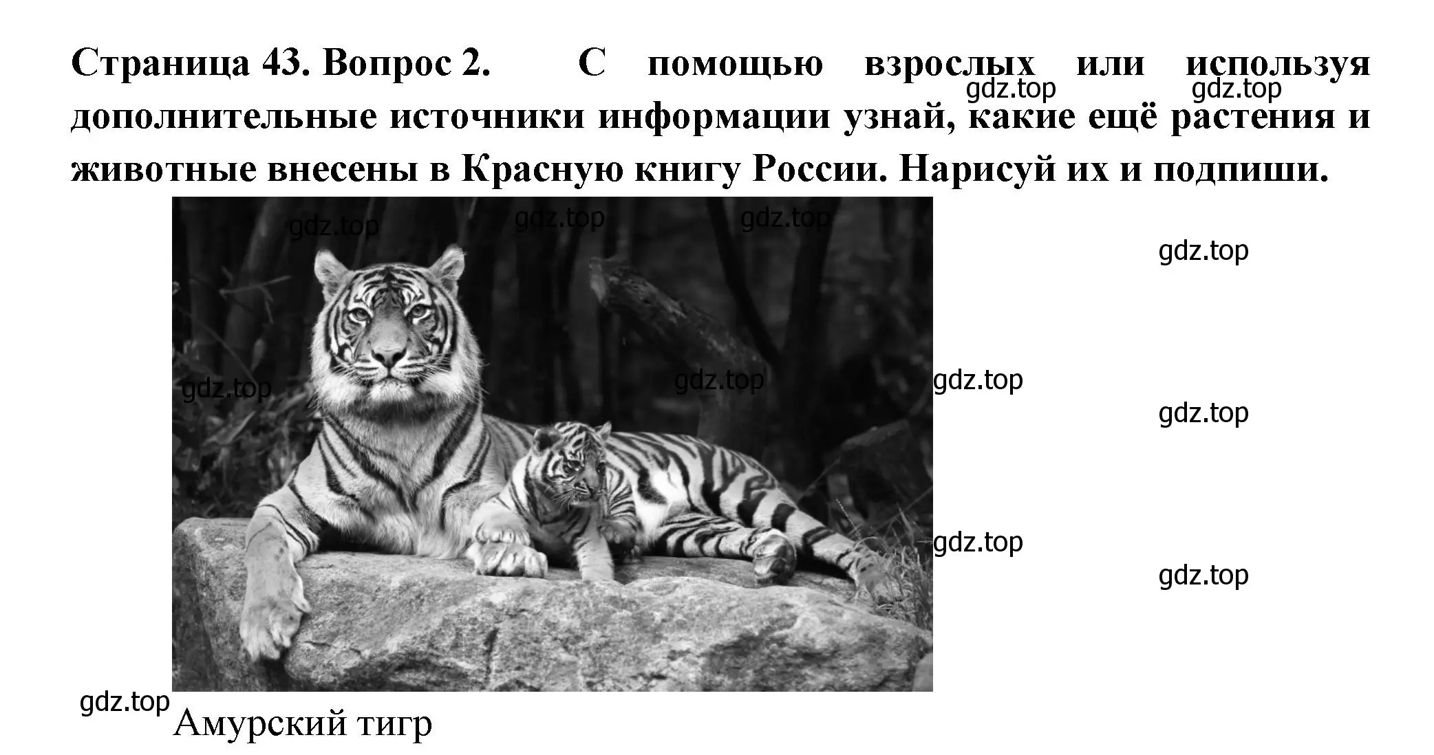 Решение номер 2 (страница 43) гдз по окружающему миру 1 класс Плешаков, Новицкая, рабочая тетрадь 2 часть