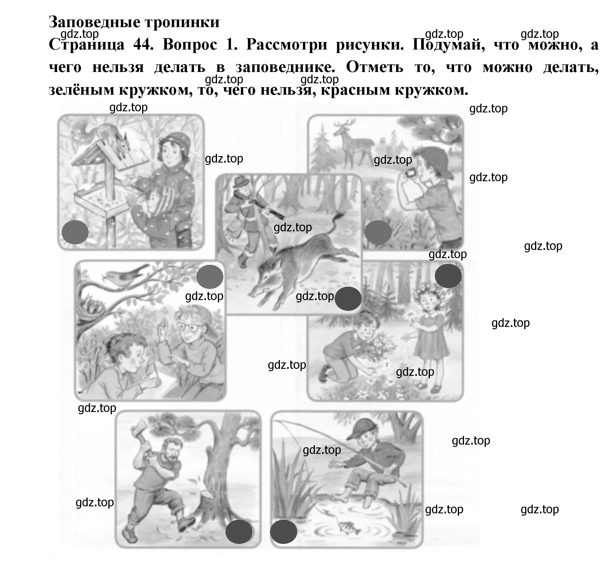 Решение номер 1 (страница 44) гдз по окружающему миру 1 класс Плешаков, Новицкая, рабочая тетрадь 2 часть